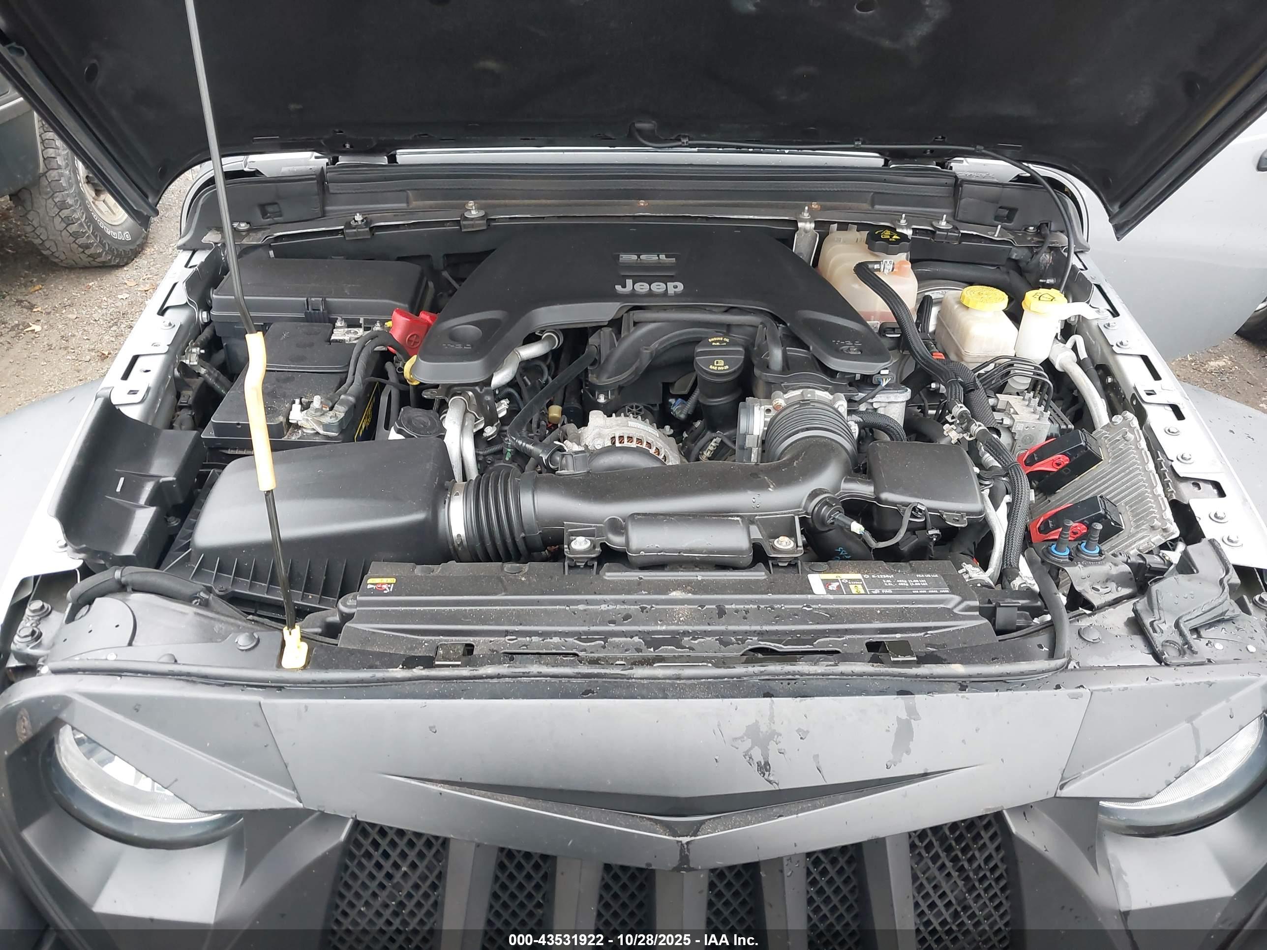 JEEP WRANGLER image 10