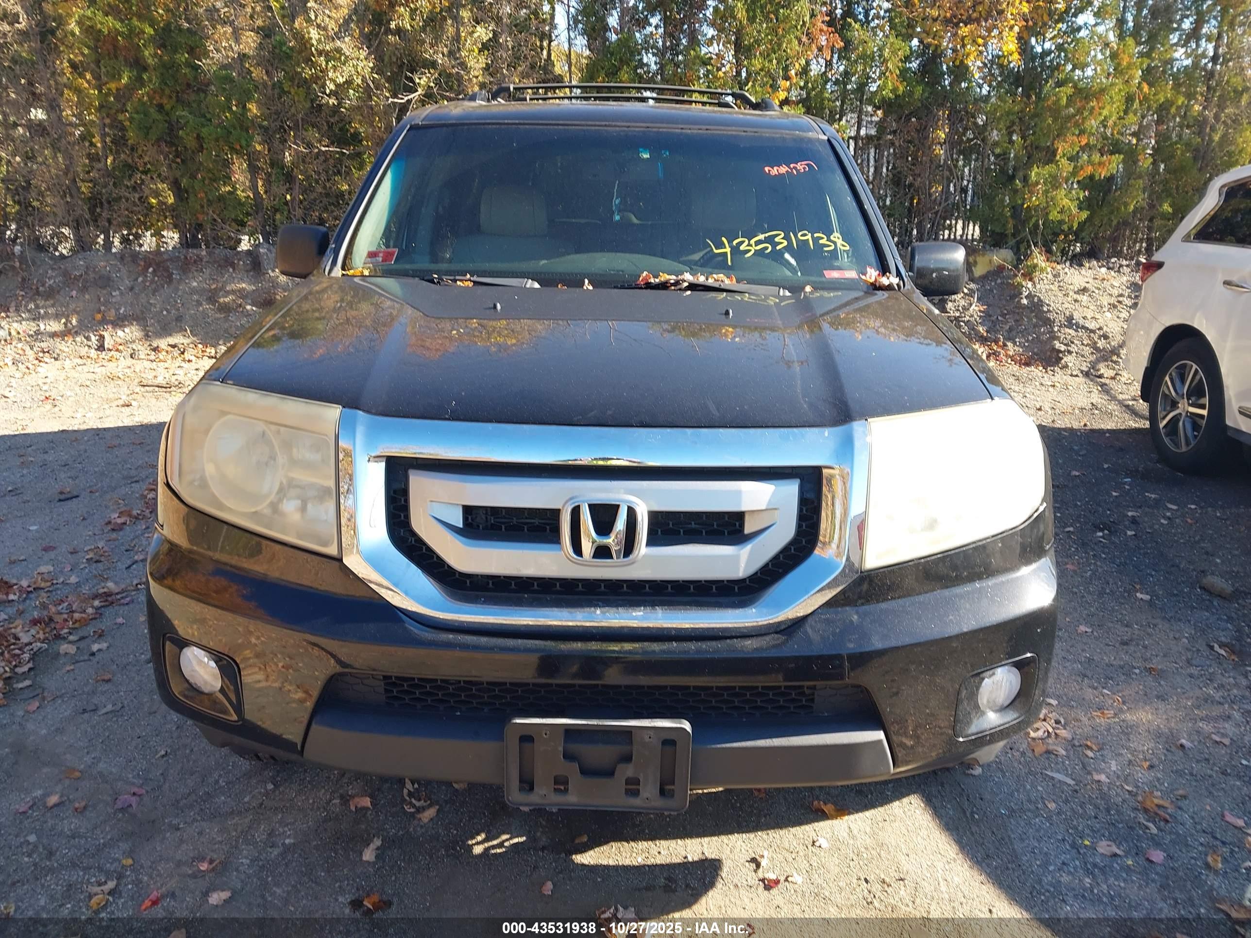 HONDA PILOT image 6