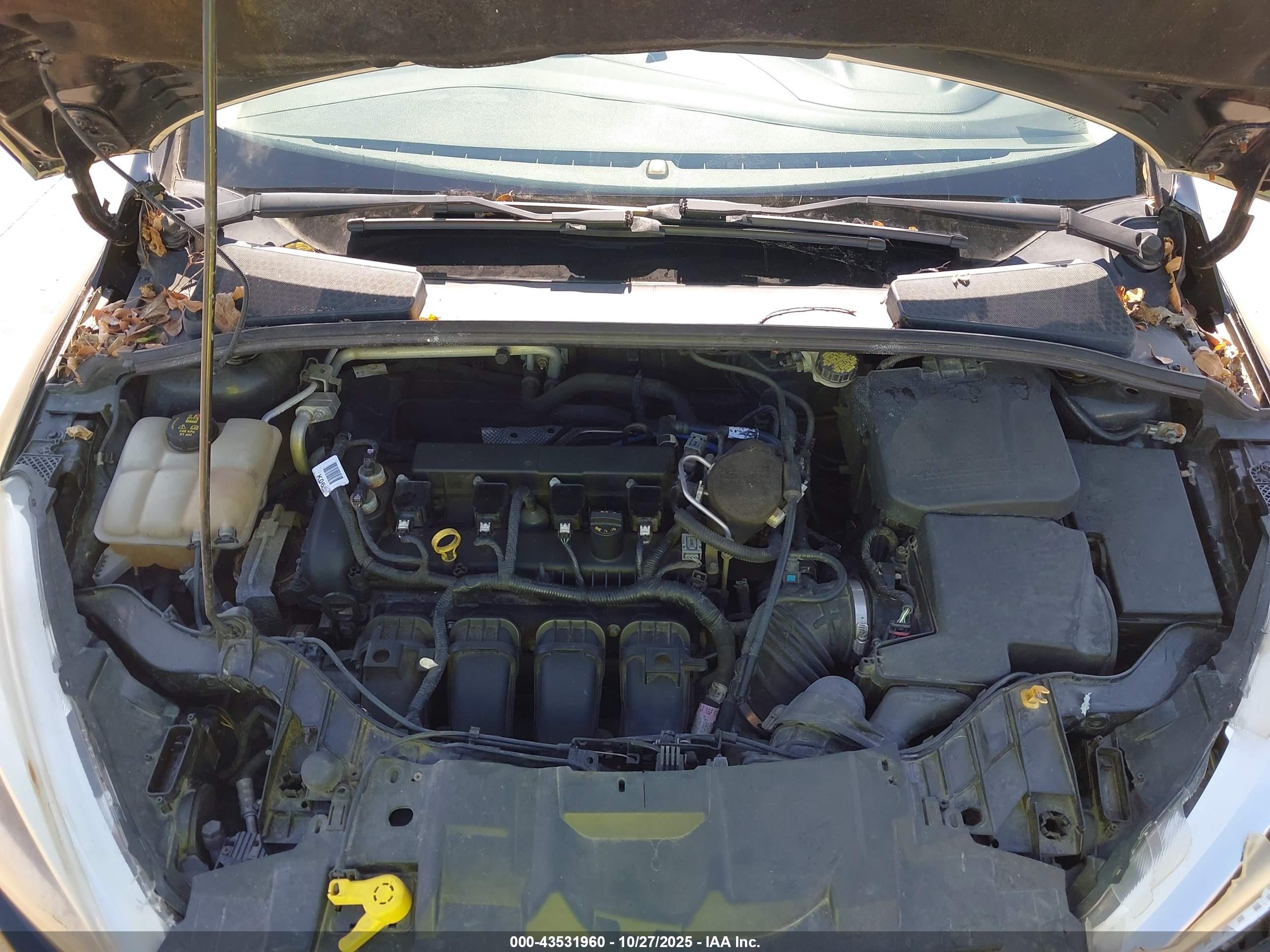 FORD FOCUS image 10