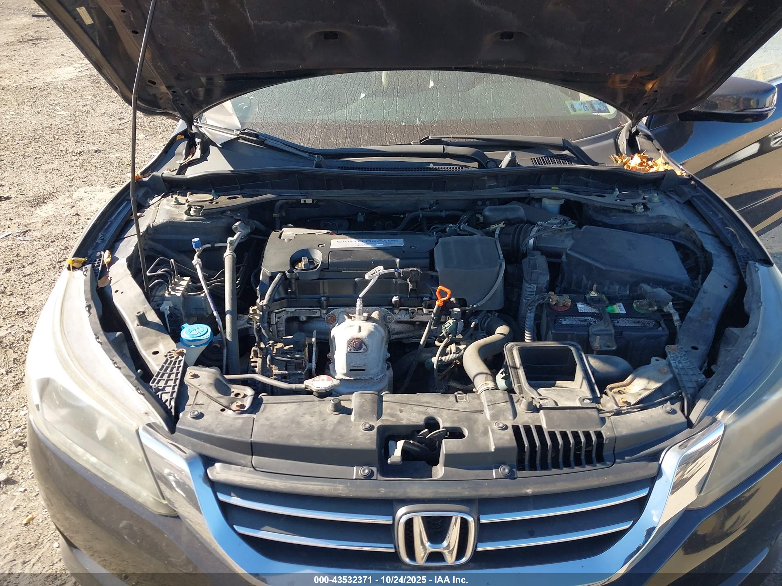 HONDA ACCORD image 10