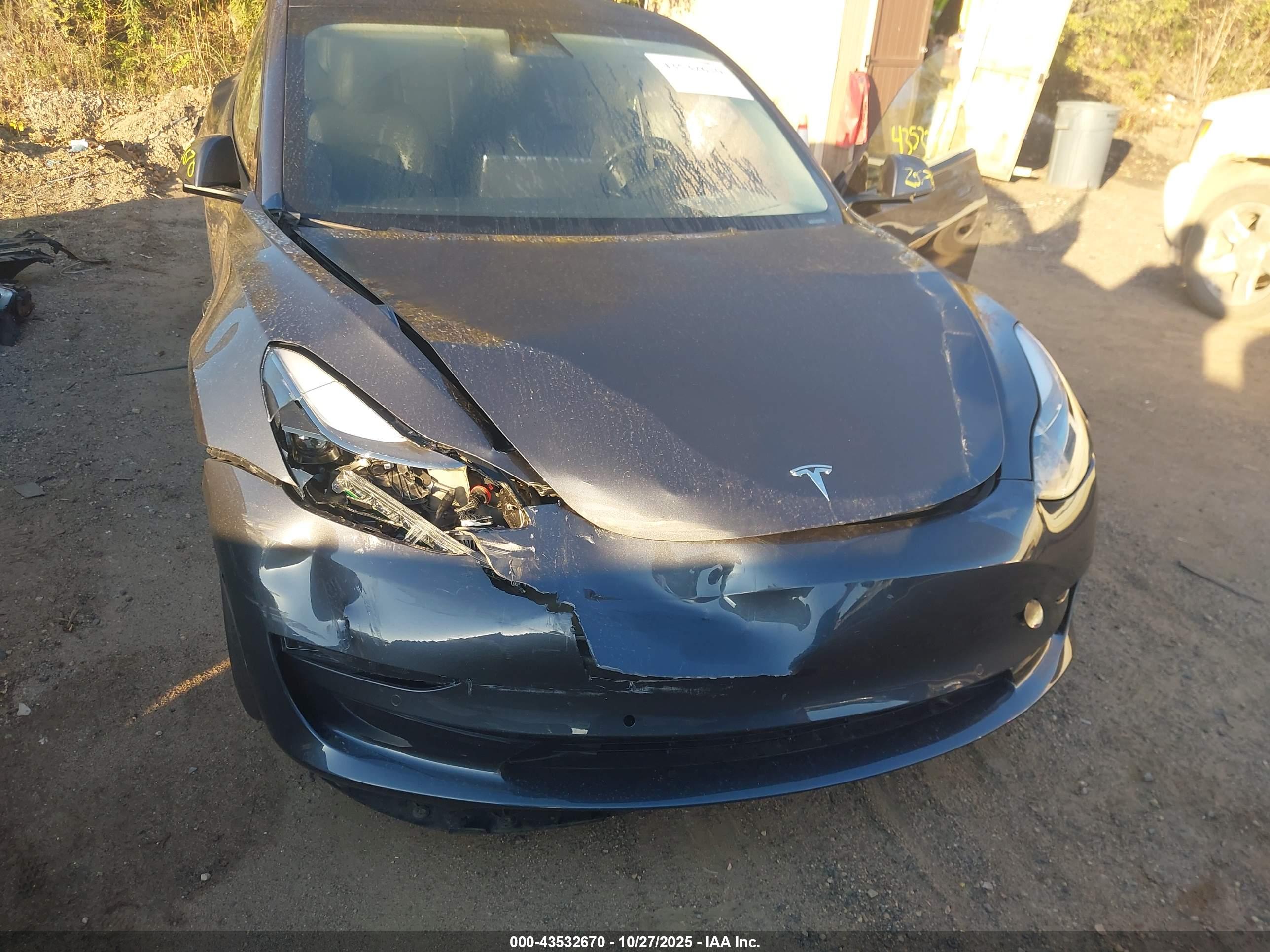TESLA MODEL image 6