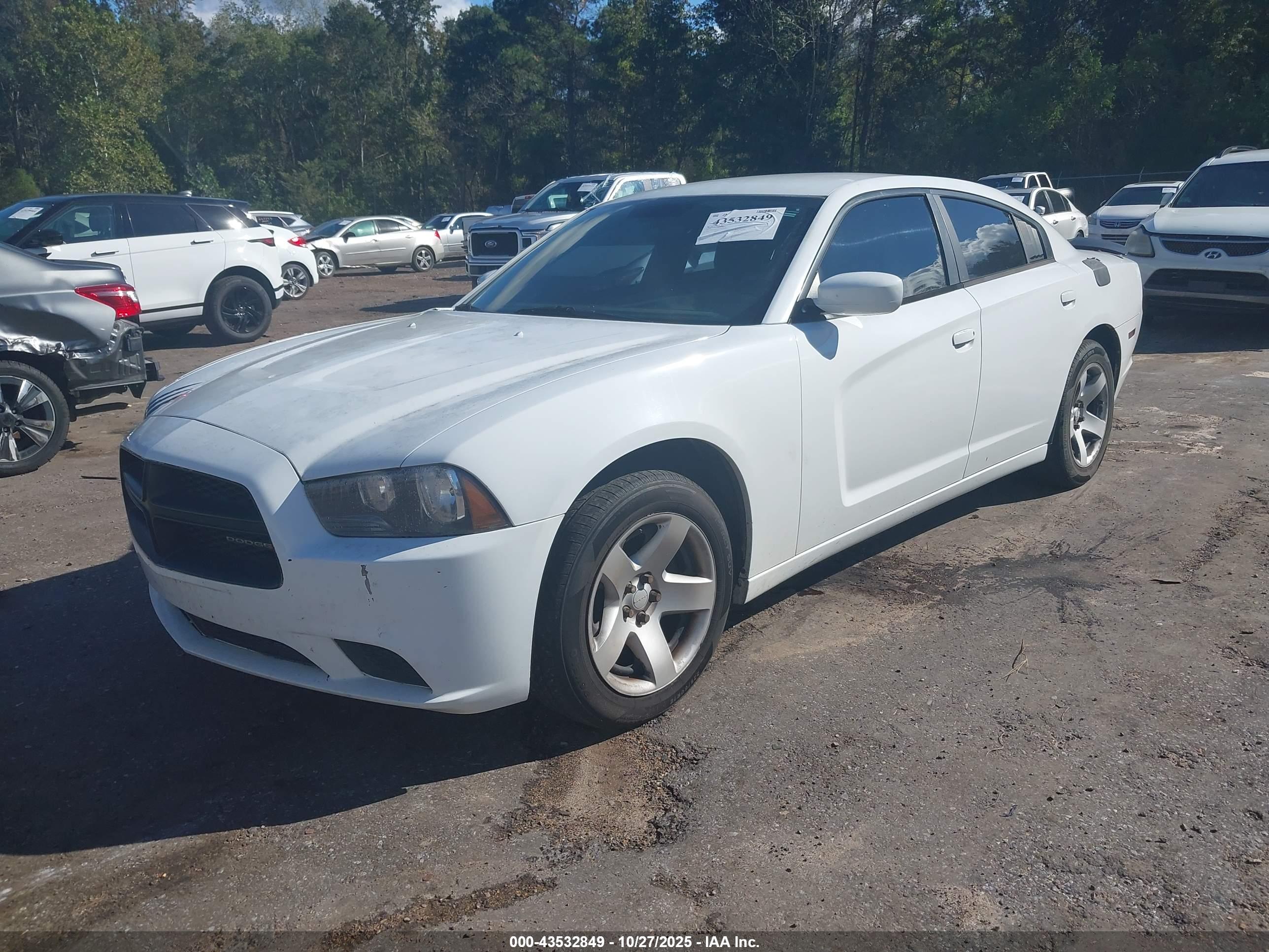 DODGE CHARGER image 2