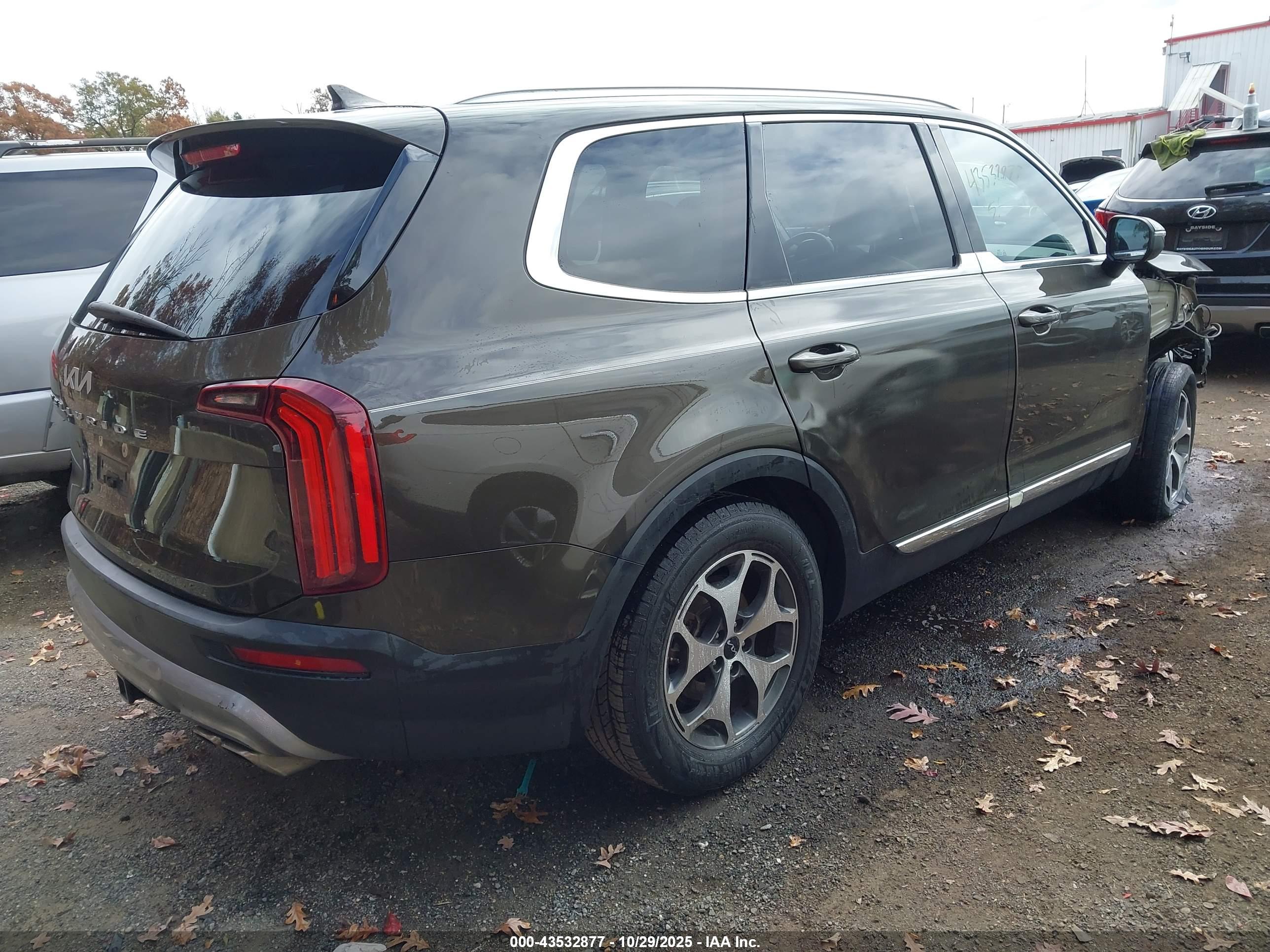 KIA TELLURIDE image 4