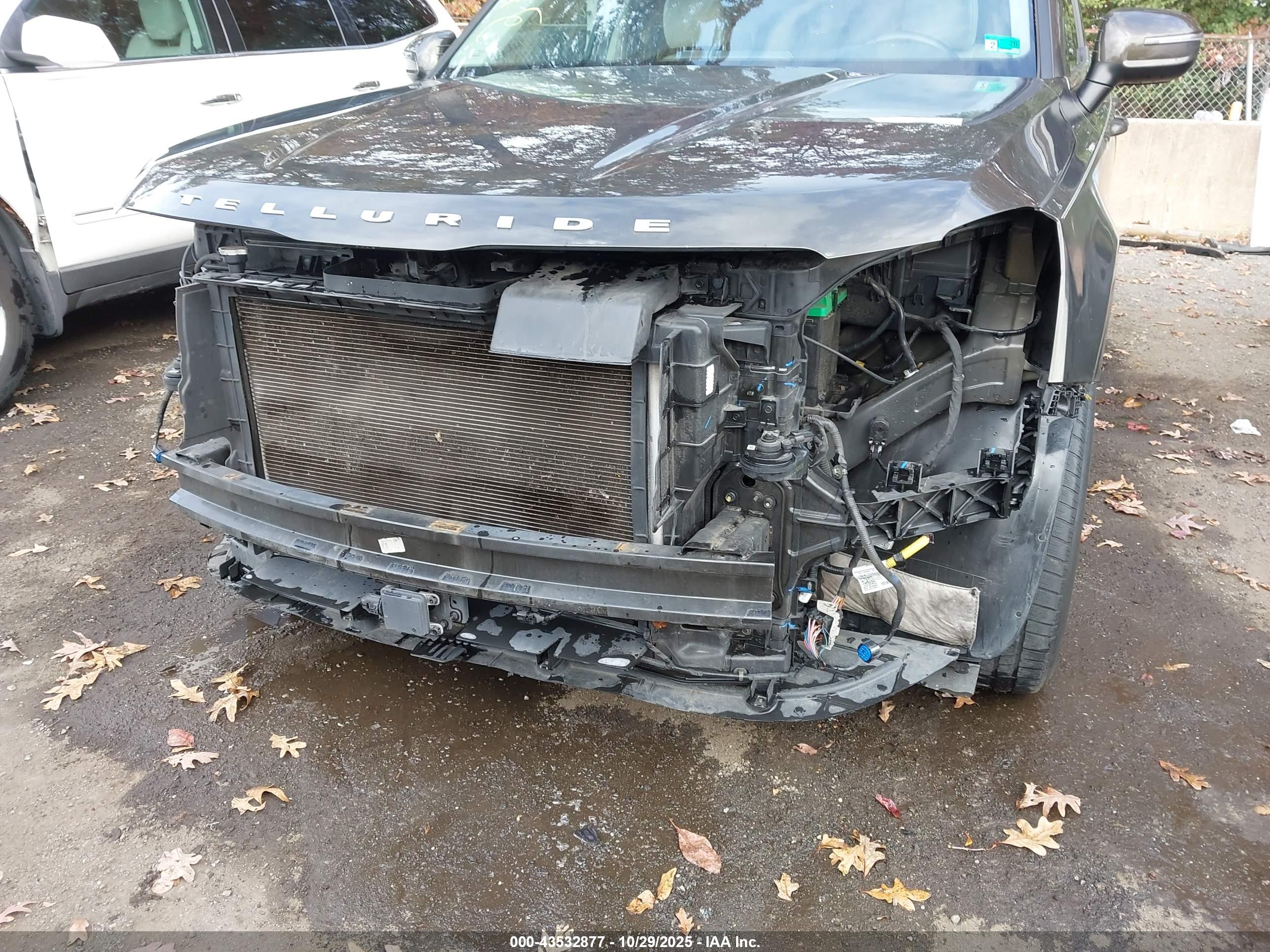 KIA TELLURIDE image 6