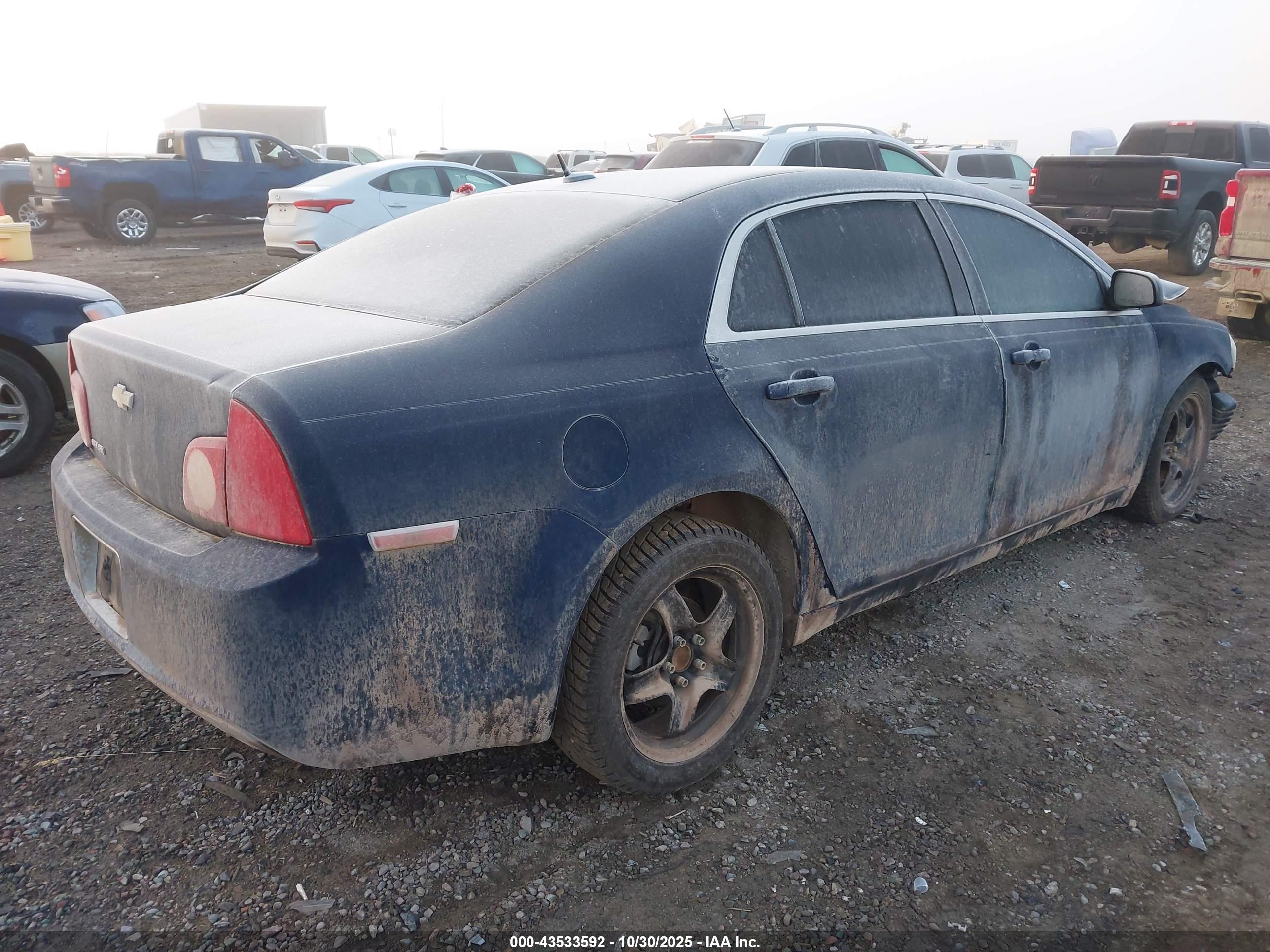 CHEVROLET MALIBU image 4