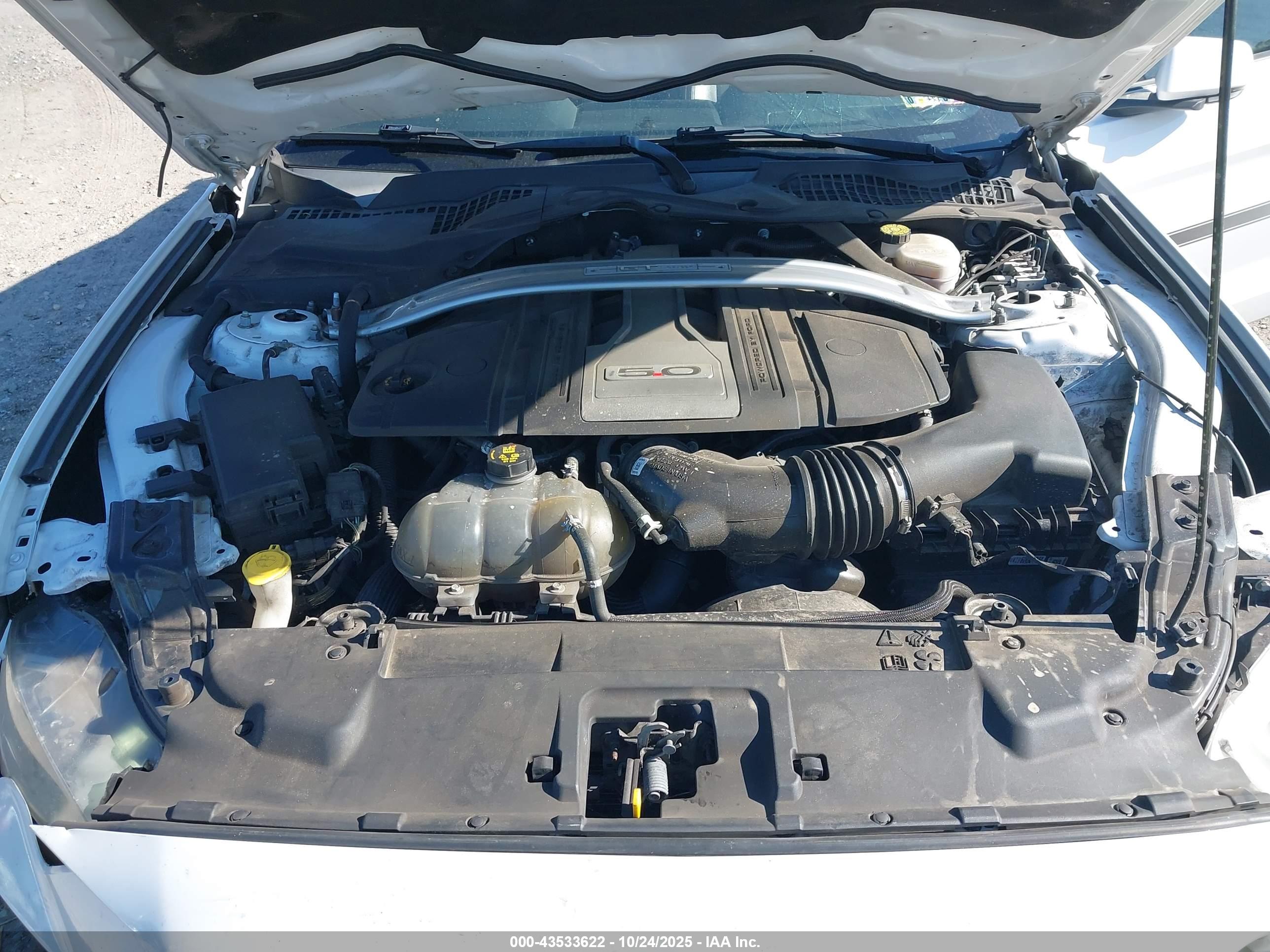 FORD MUSTANG image 10
