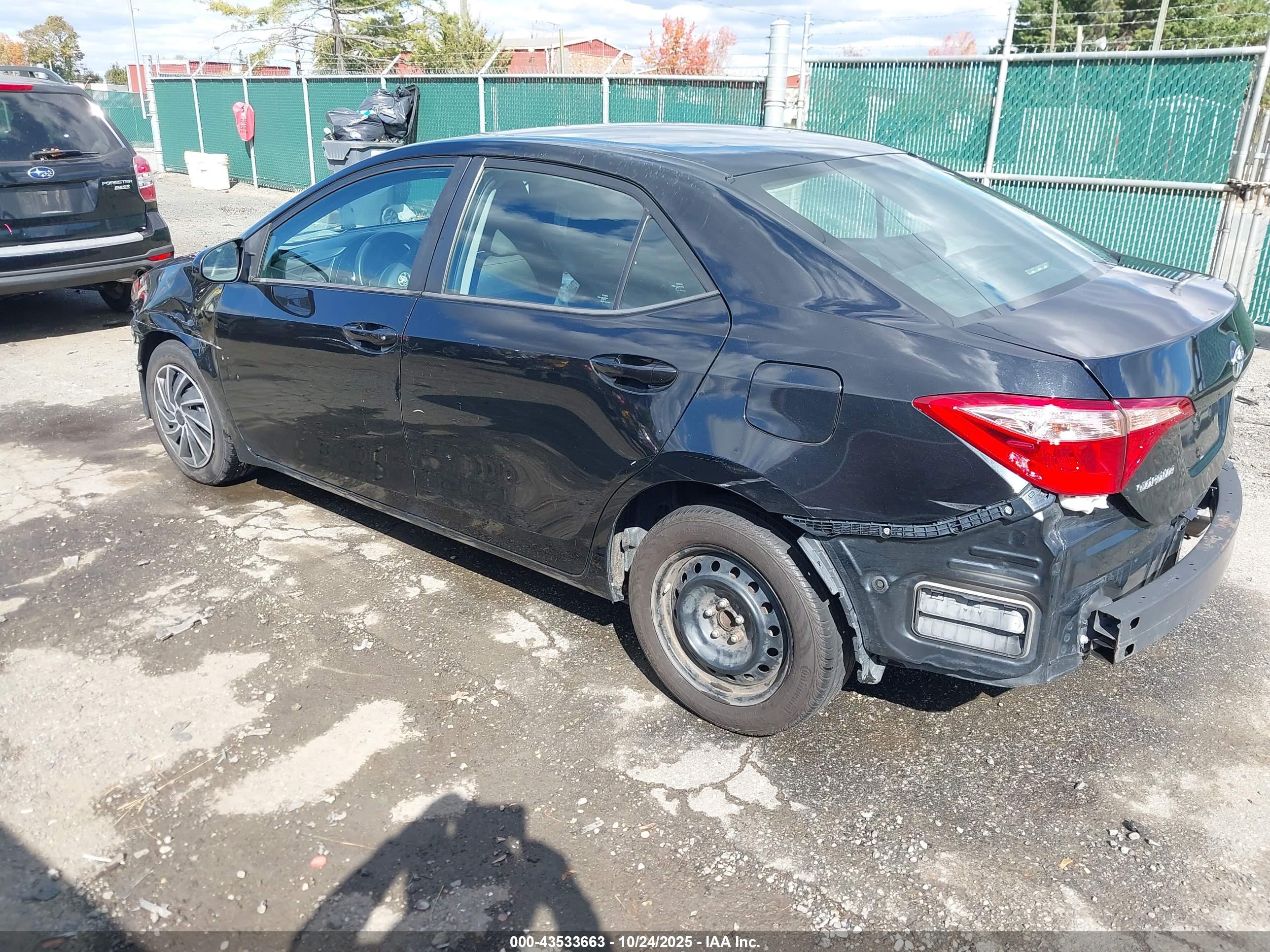 TOYOTA COROLLA image 3