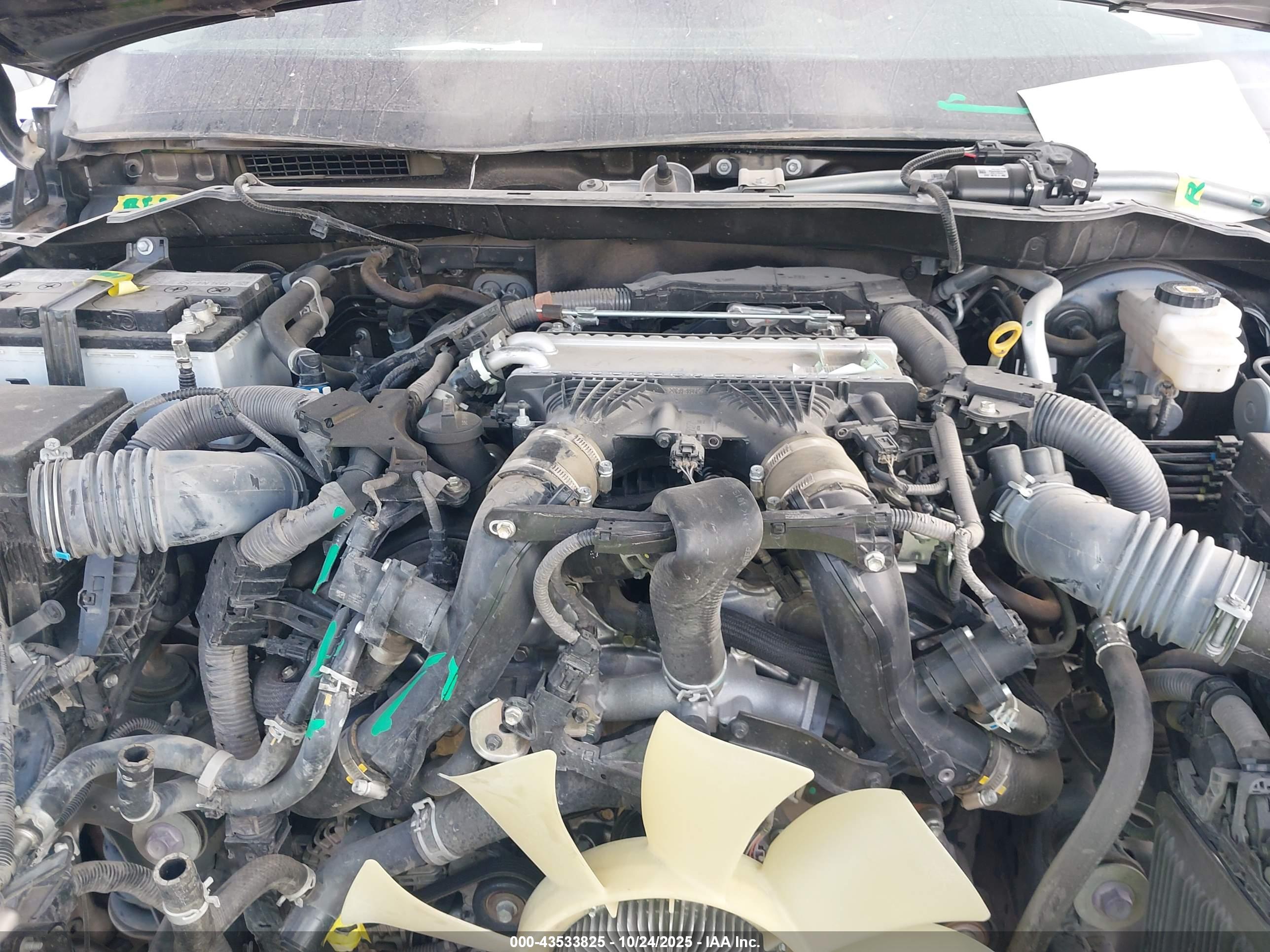 TOYOTA TUNDRA image 10