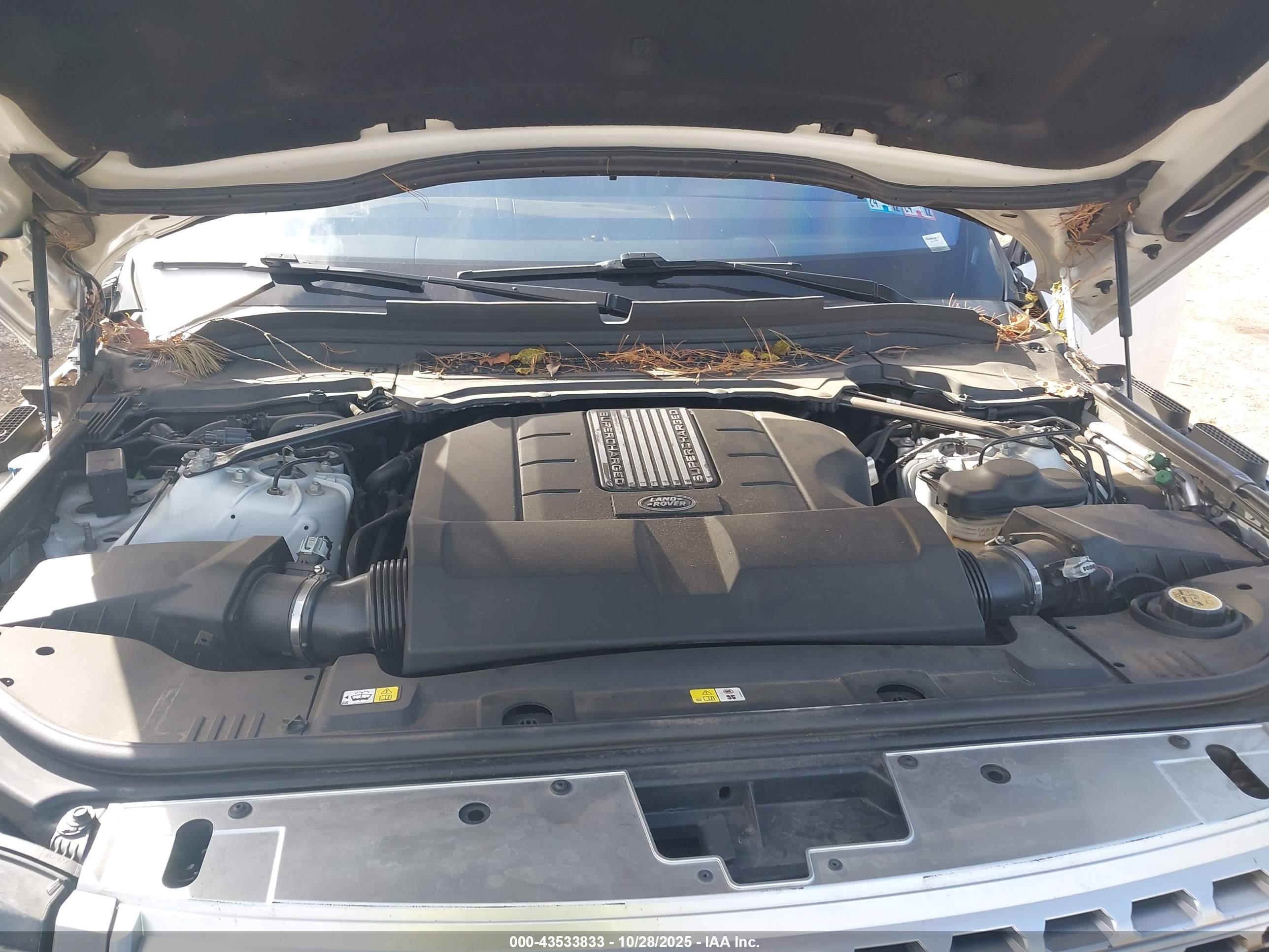 LAND ROVER image 10
