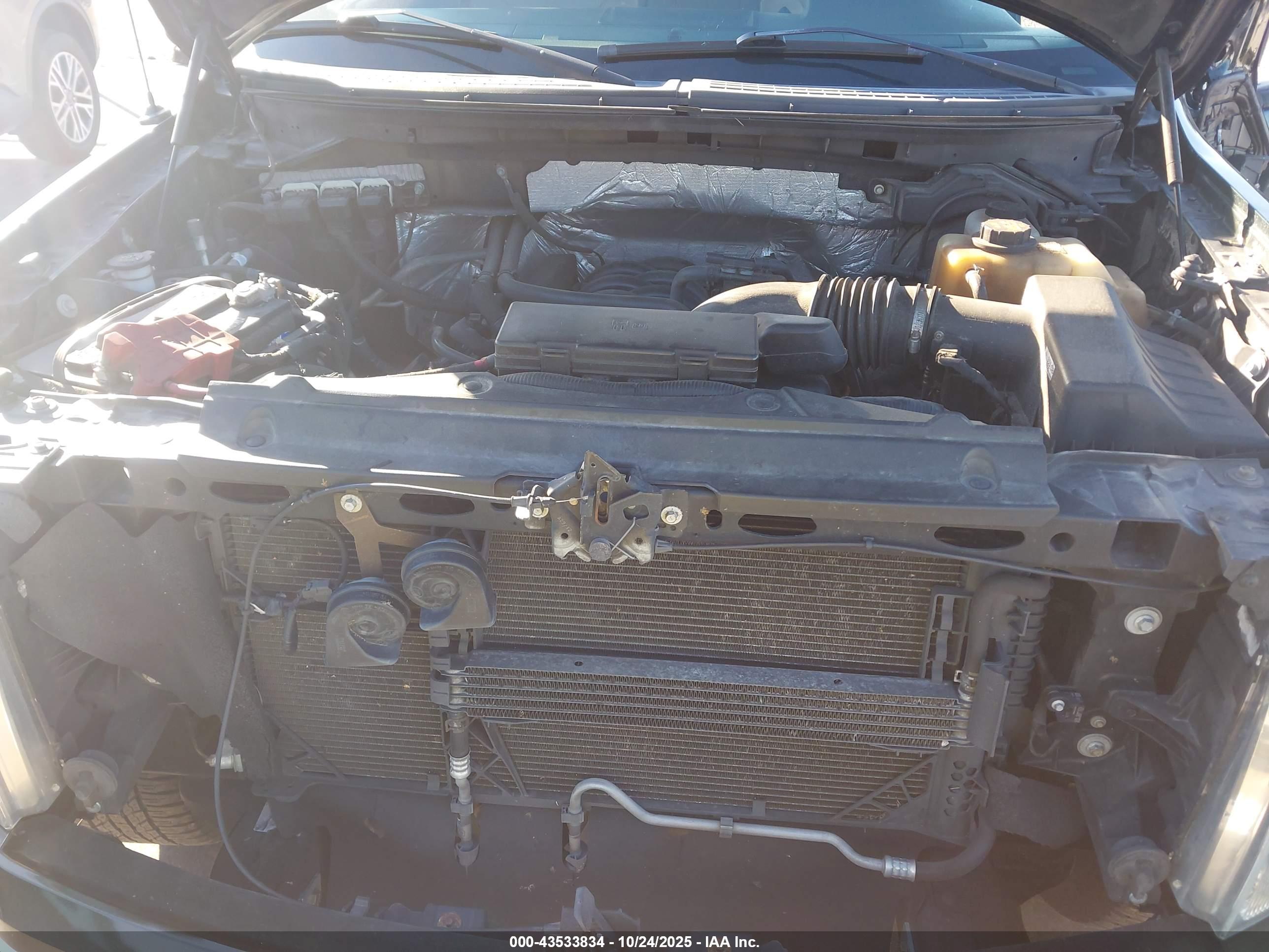 FORD F-150 image 10
