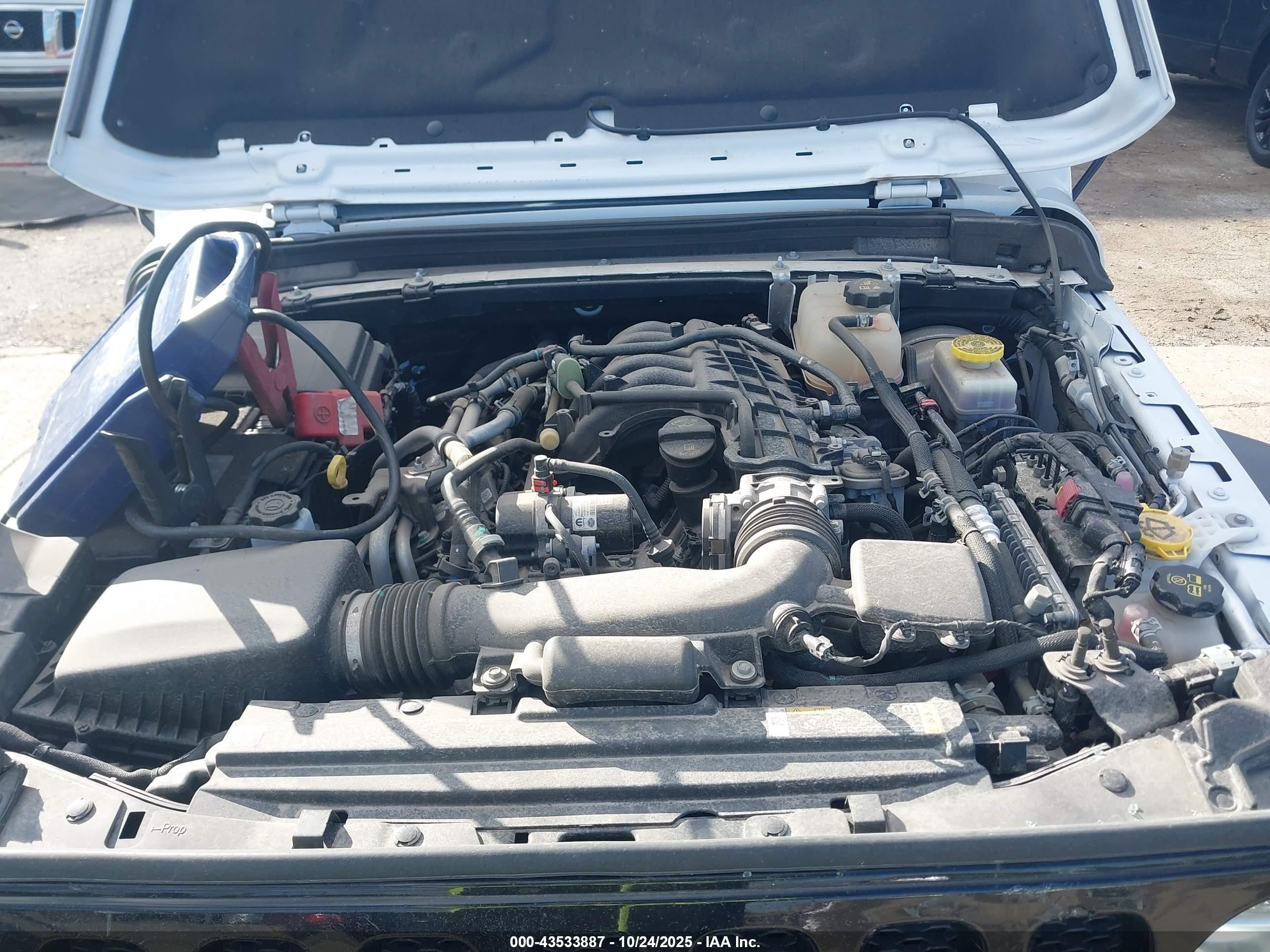 JEEP WRANGLER image 10