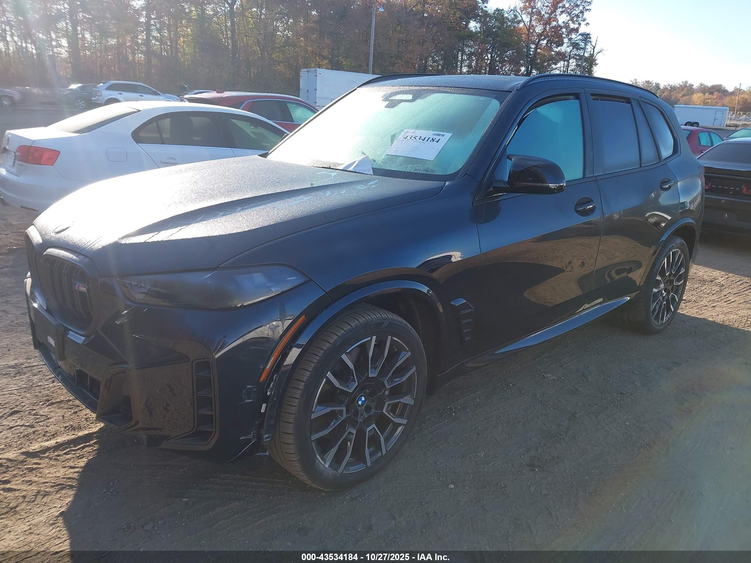 BMW X5 image 2