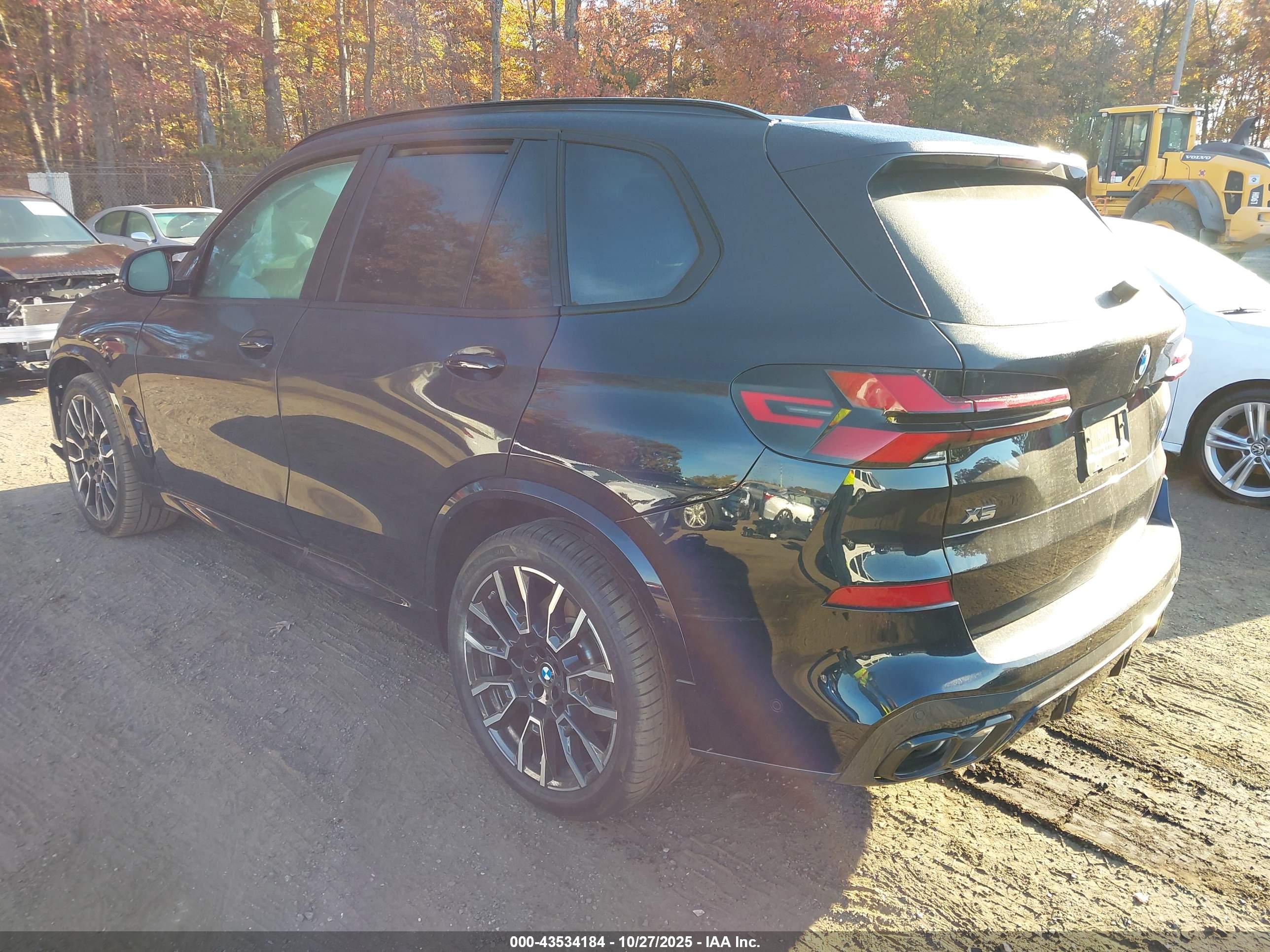 BMW X5 image 3