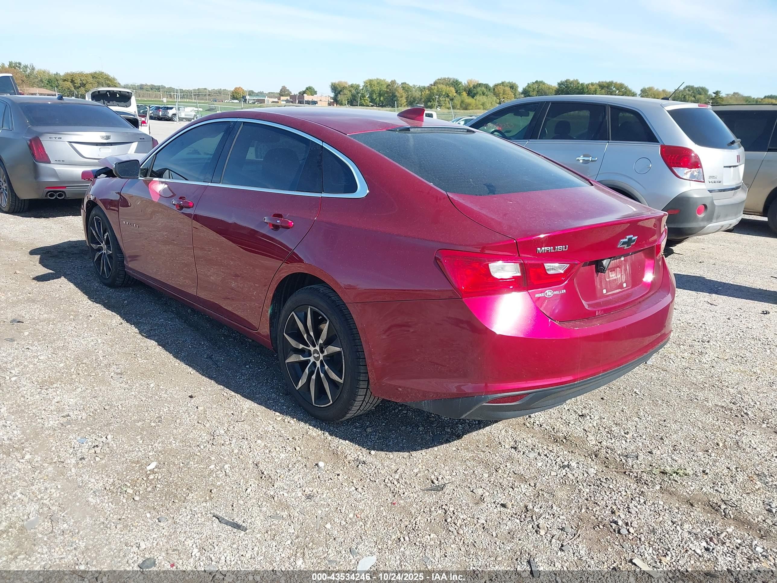 CHEVROLET MALIBU image 3