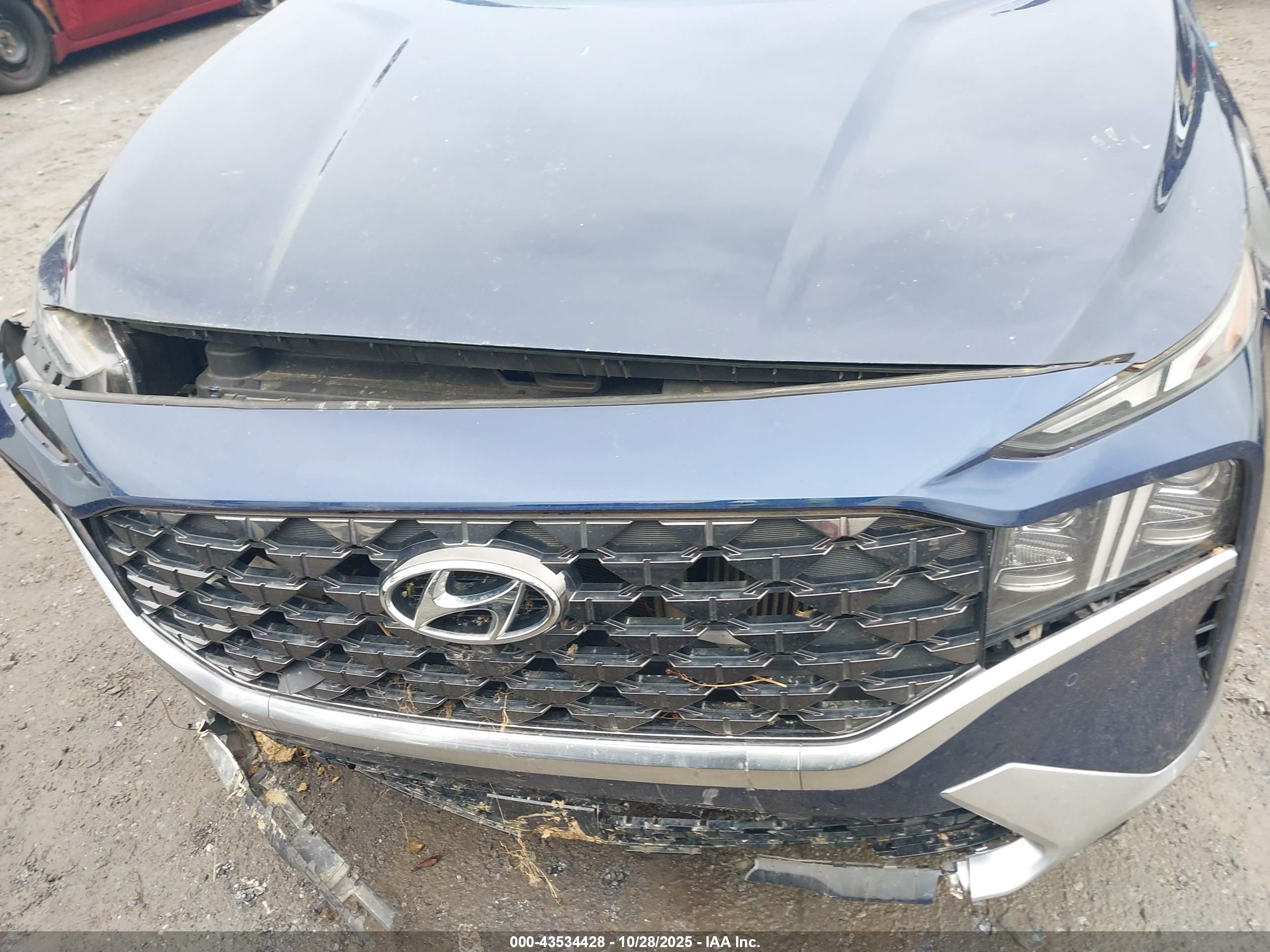 HYUNDAI SANTA image 6