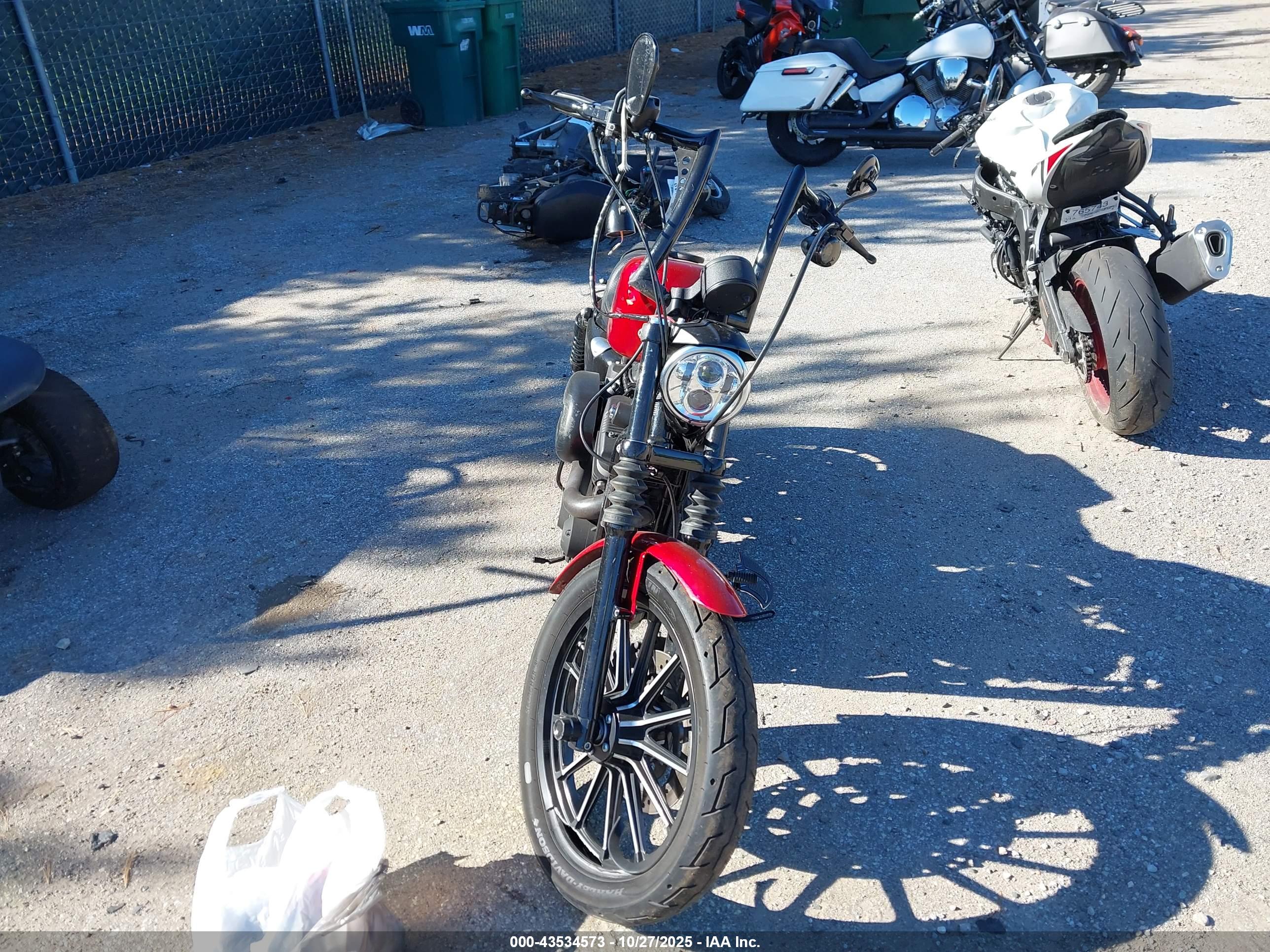 HARLEY-DAVIDSON XL883 image 5