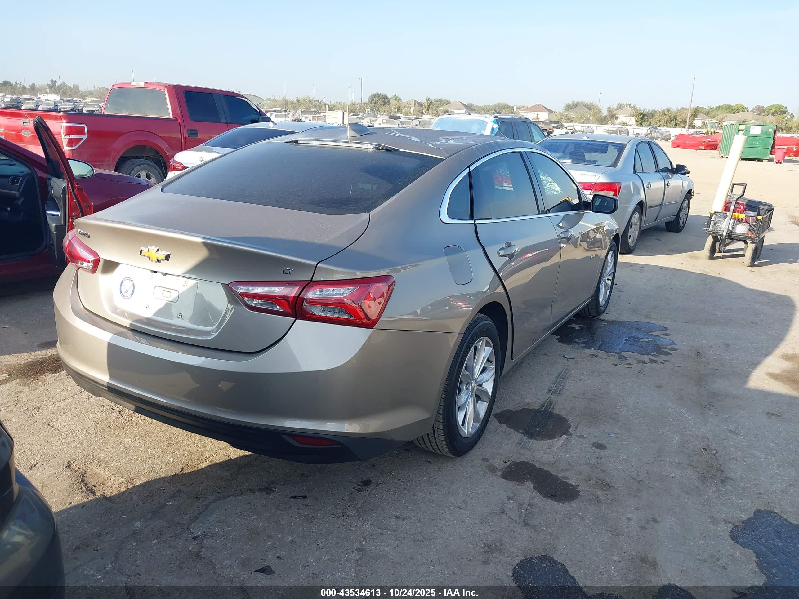 CHEVROLET MALIBU image 4