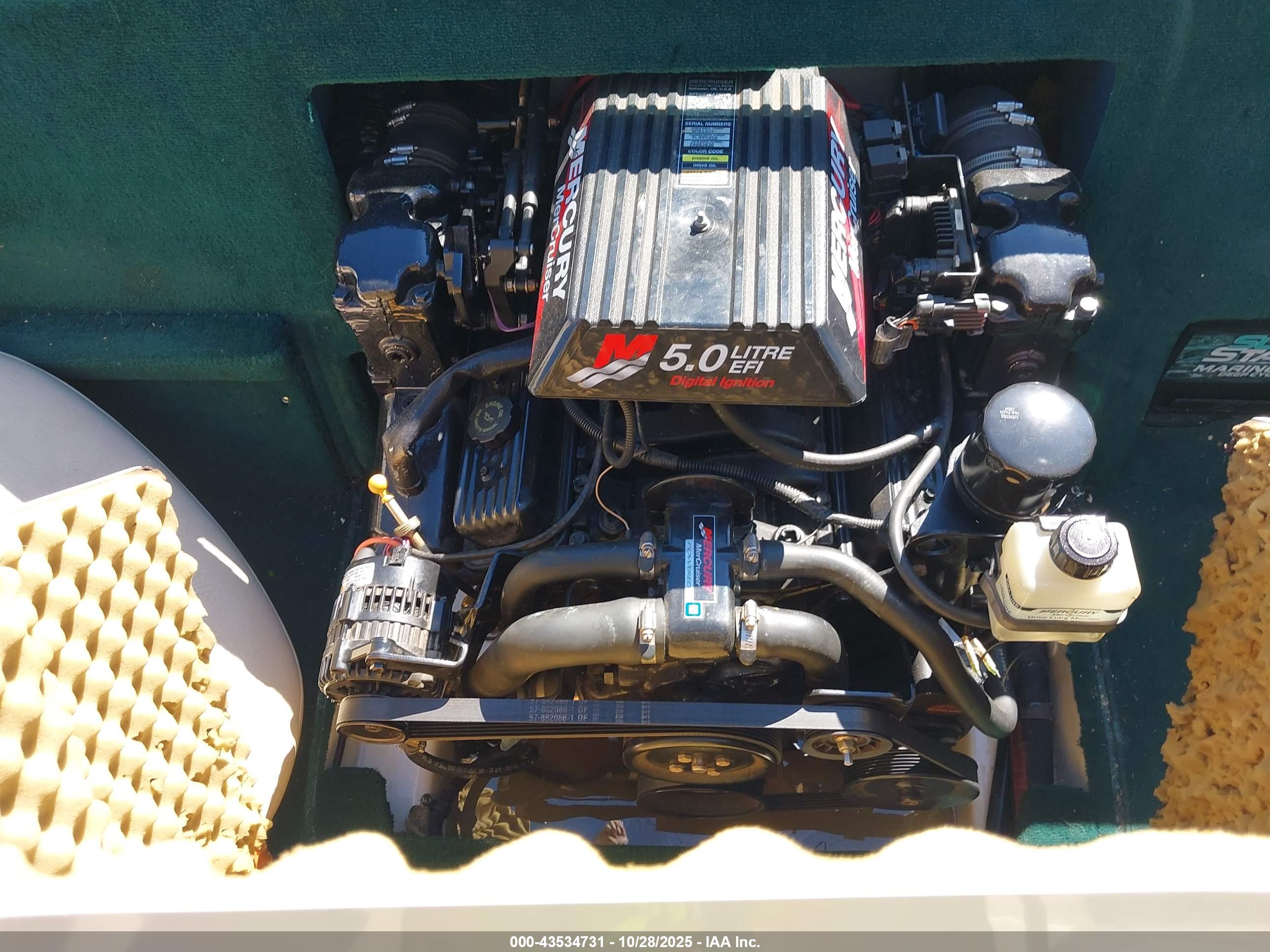 SEA RAY image 10