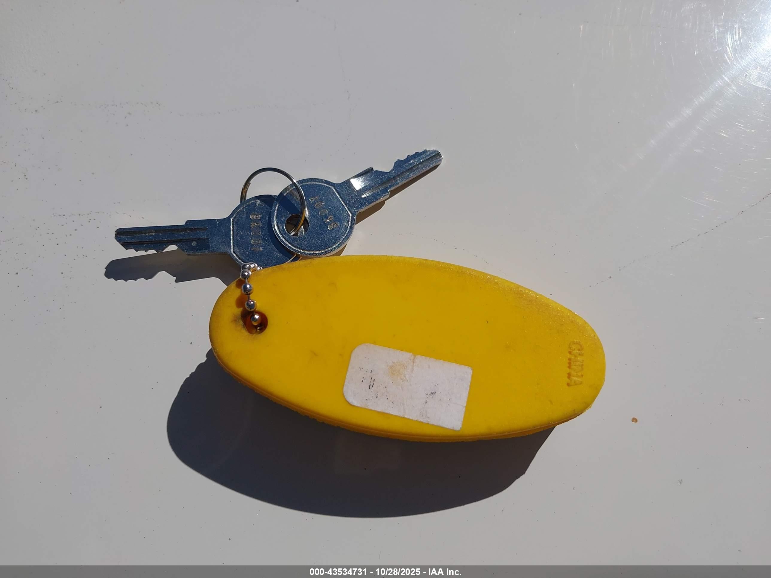 SEA RAY image 11