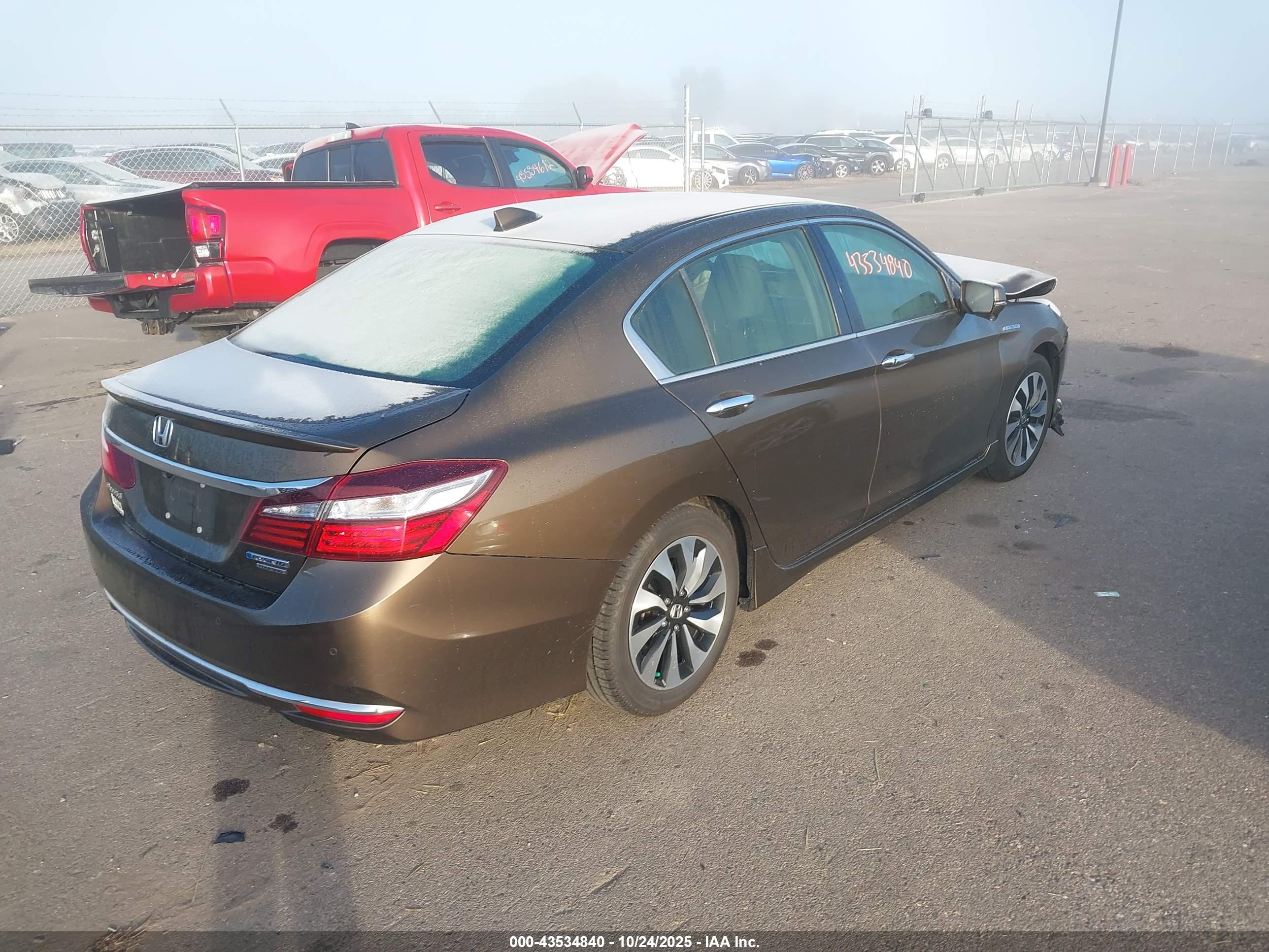 HONDA ACCORD image 4