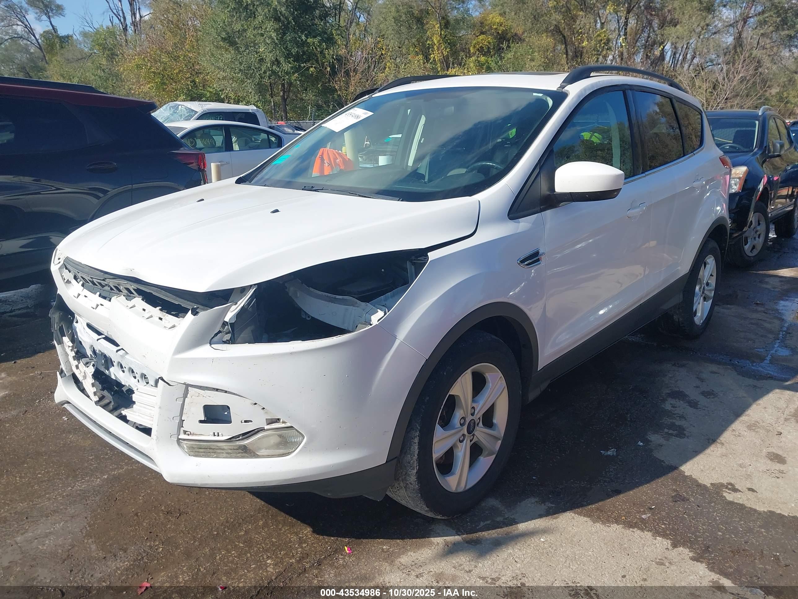 FORD ESCAPE image 2