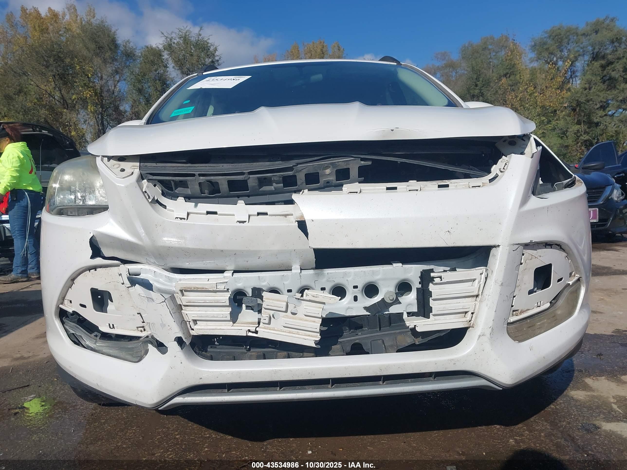 FORD ESCAPE image 6