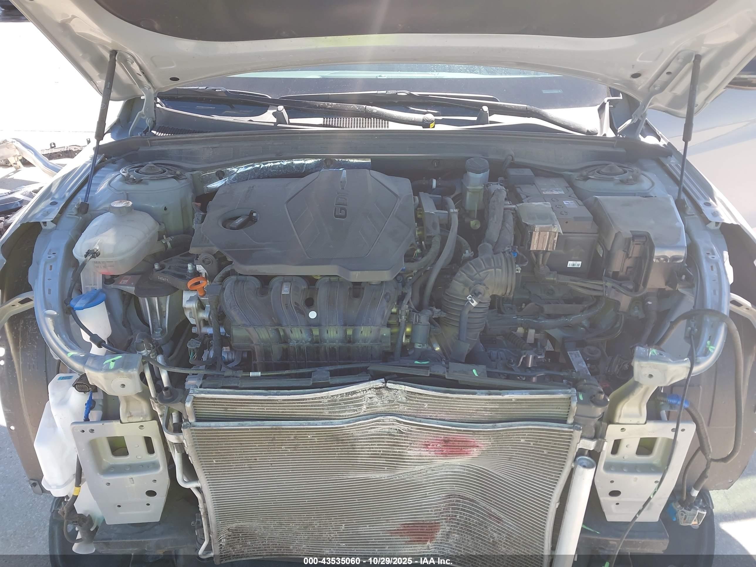 KIA K5 image 10