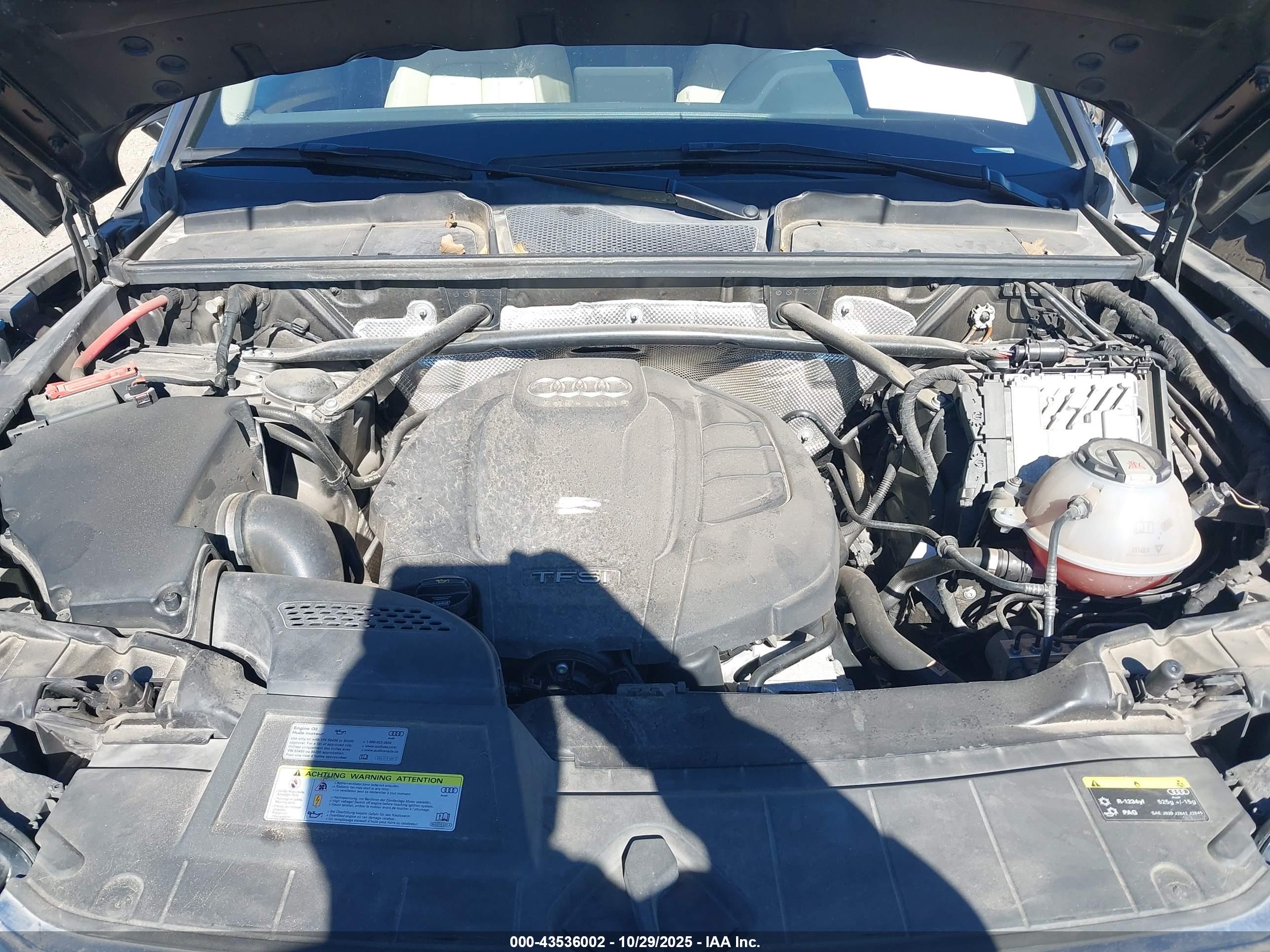 AUDI Q5 image 10