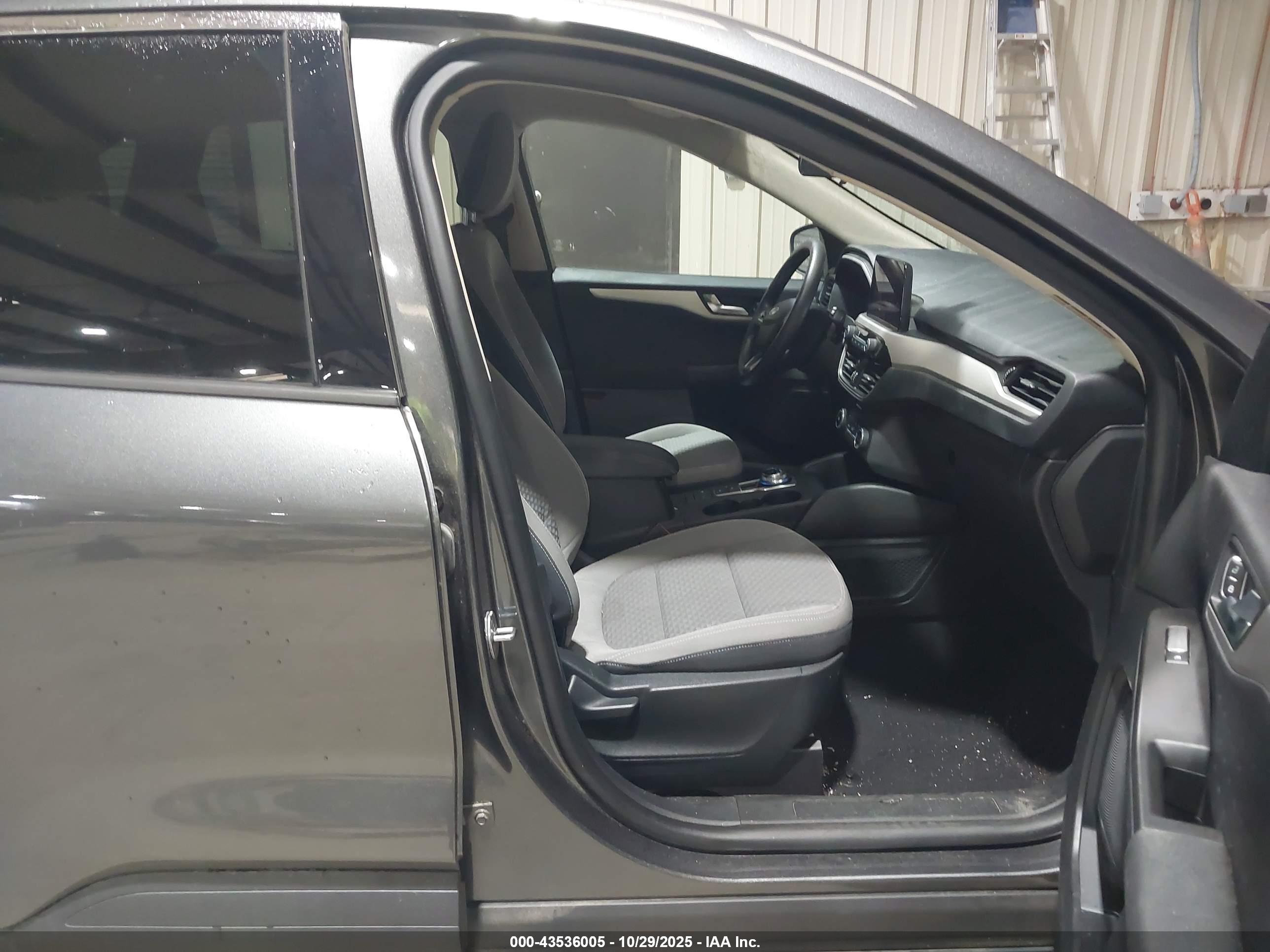 FORD ESCAPE image 5