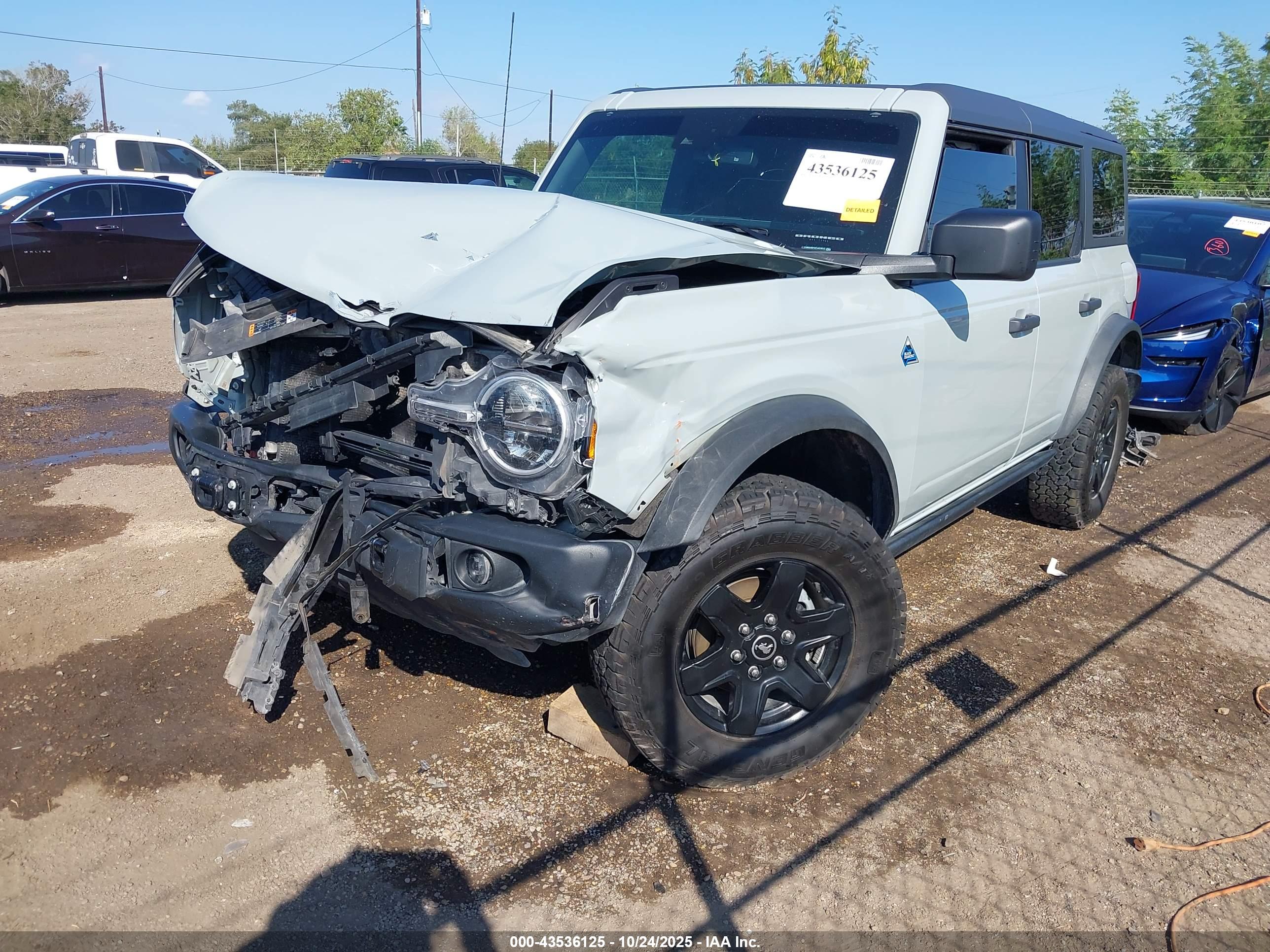 FORD BRONCO image 2