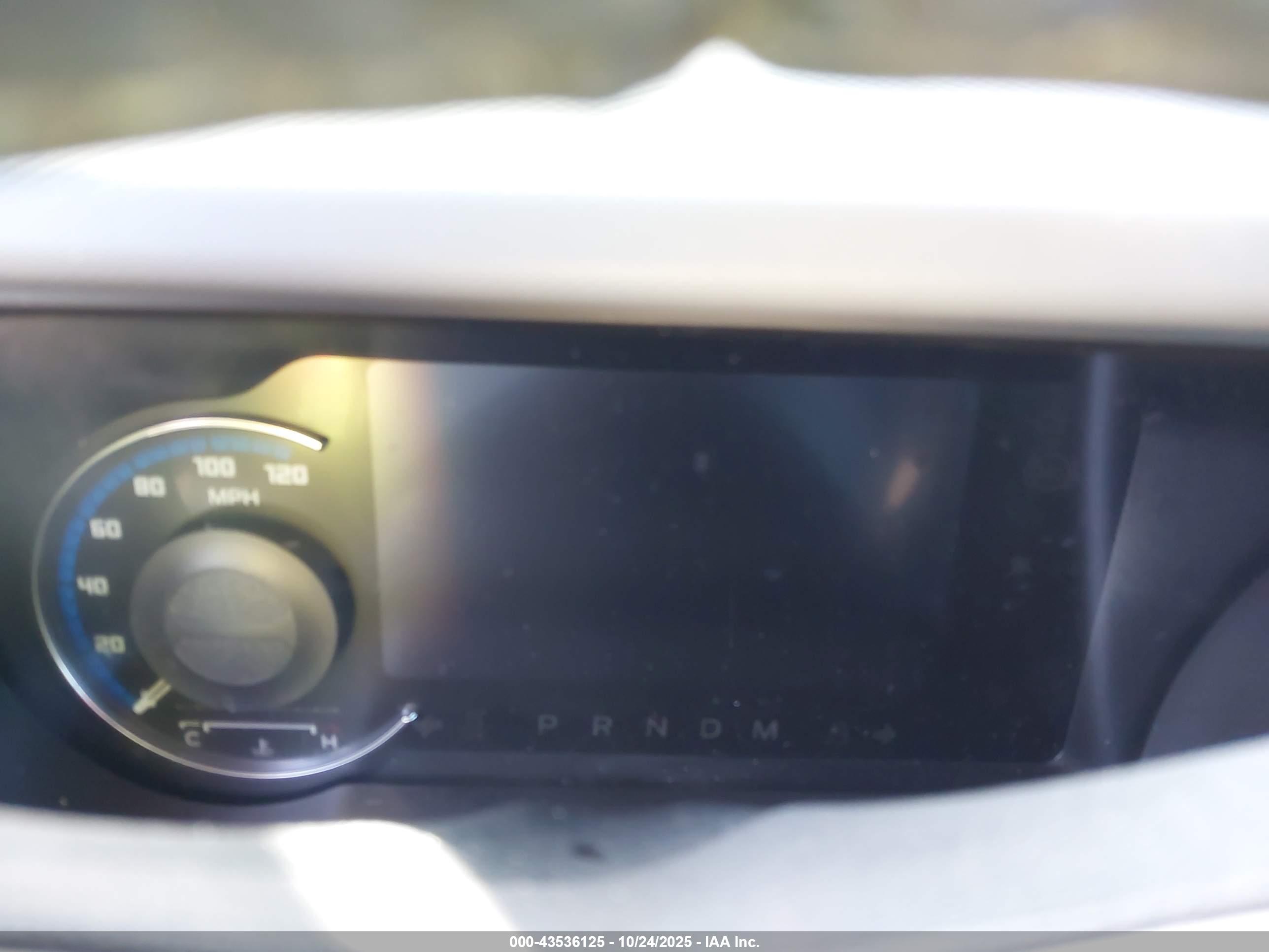 FORD BRONCO image 7