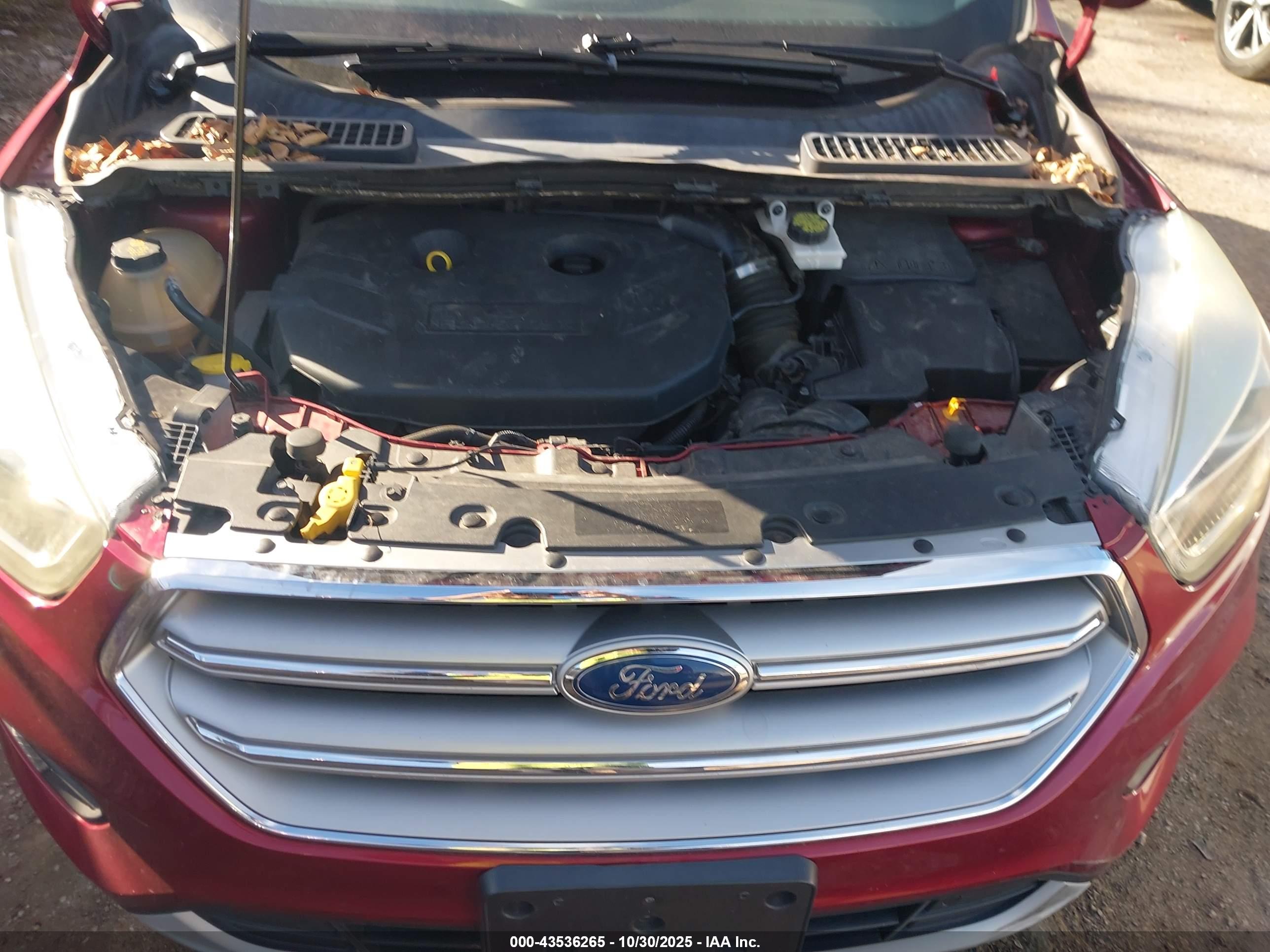 FORD ESCAPE image 10