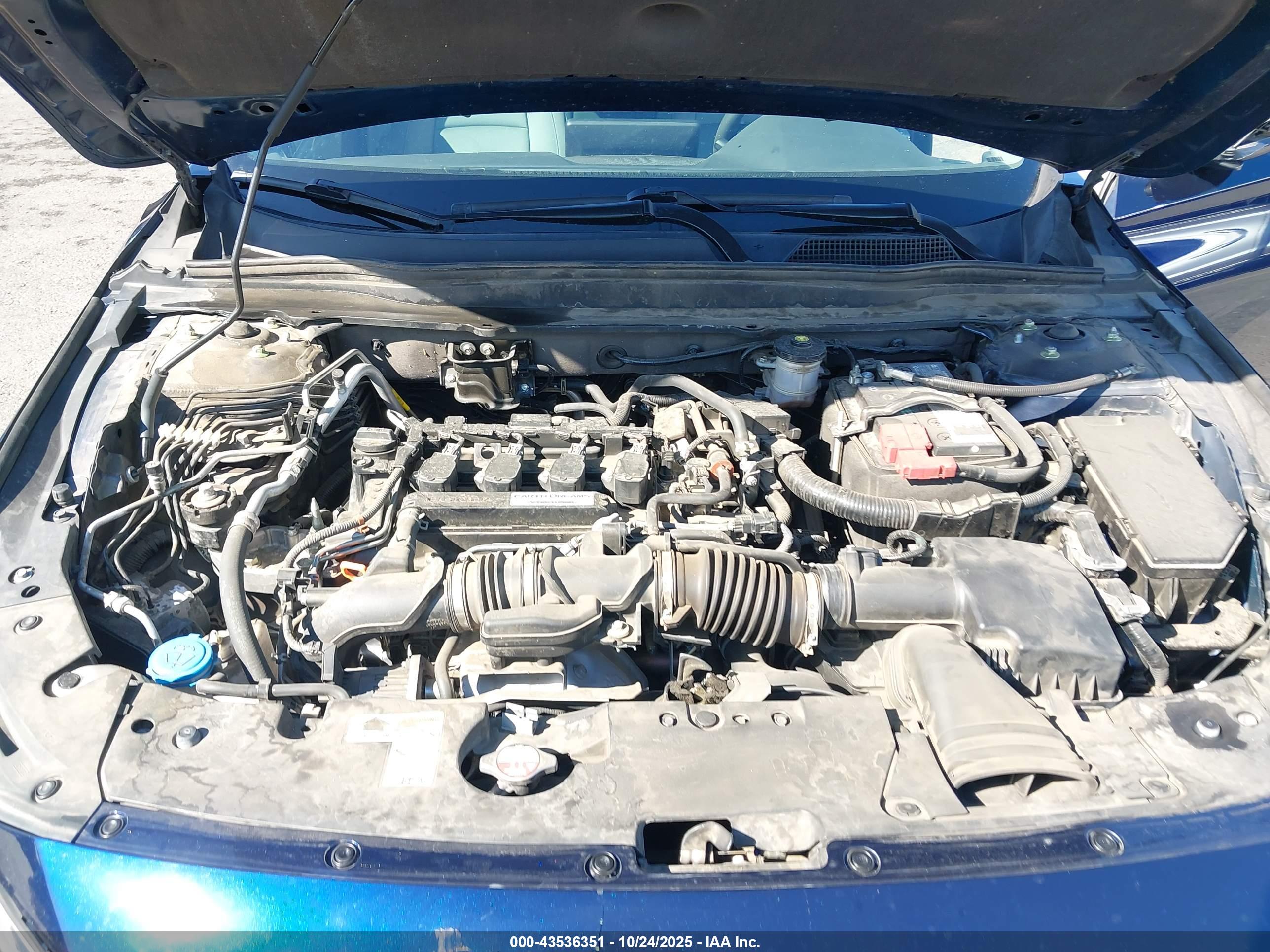 HONDA ACCORD image 10