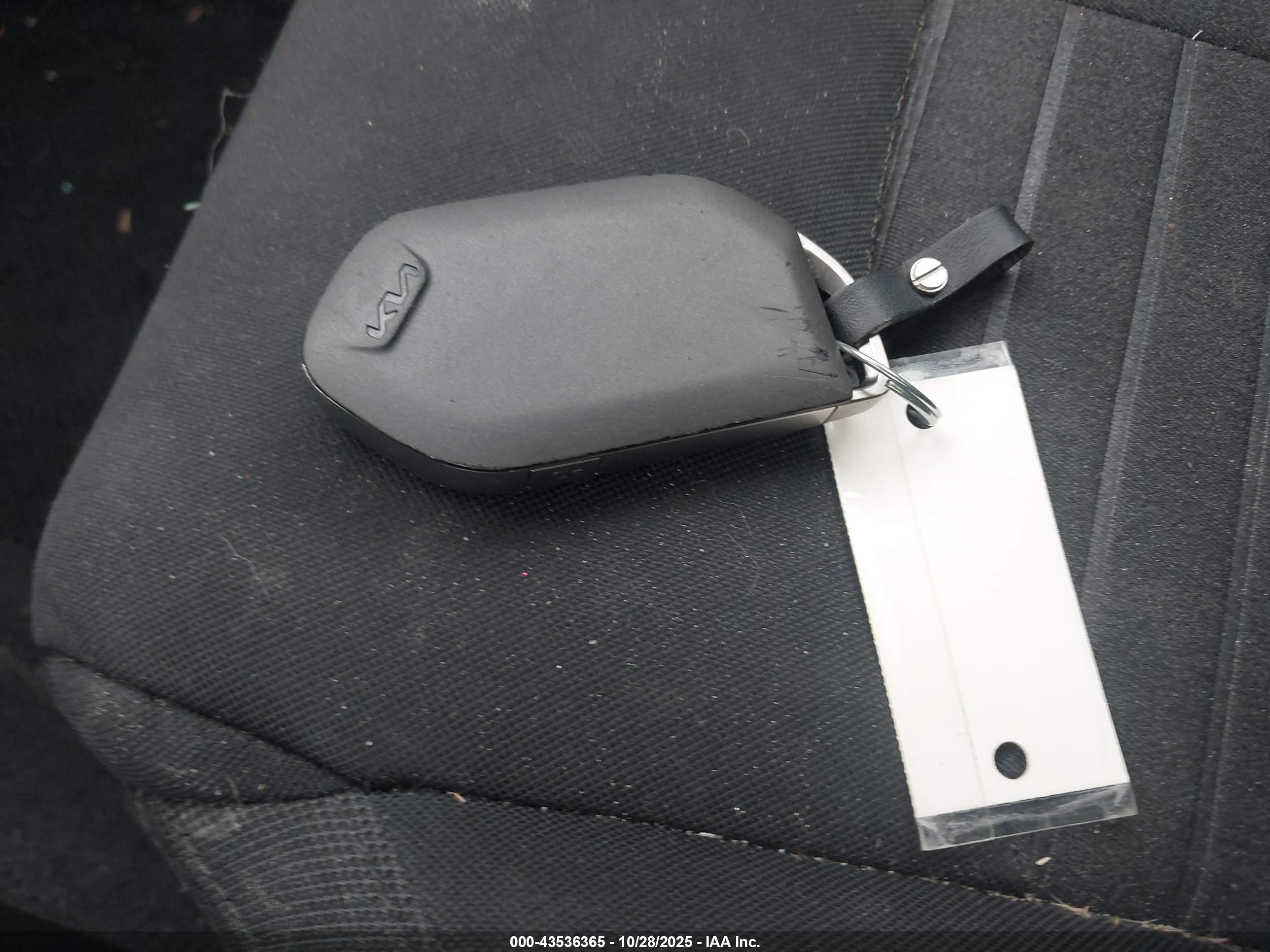 KIA K5 image 11