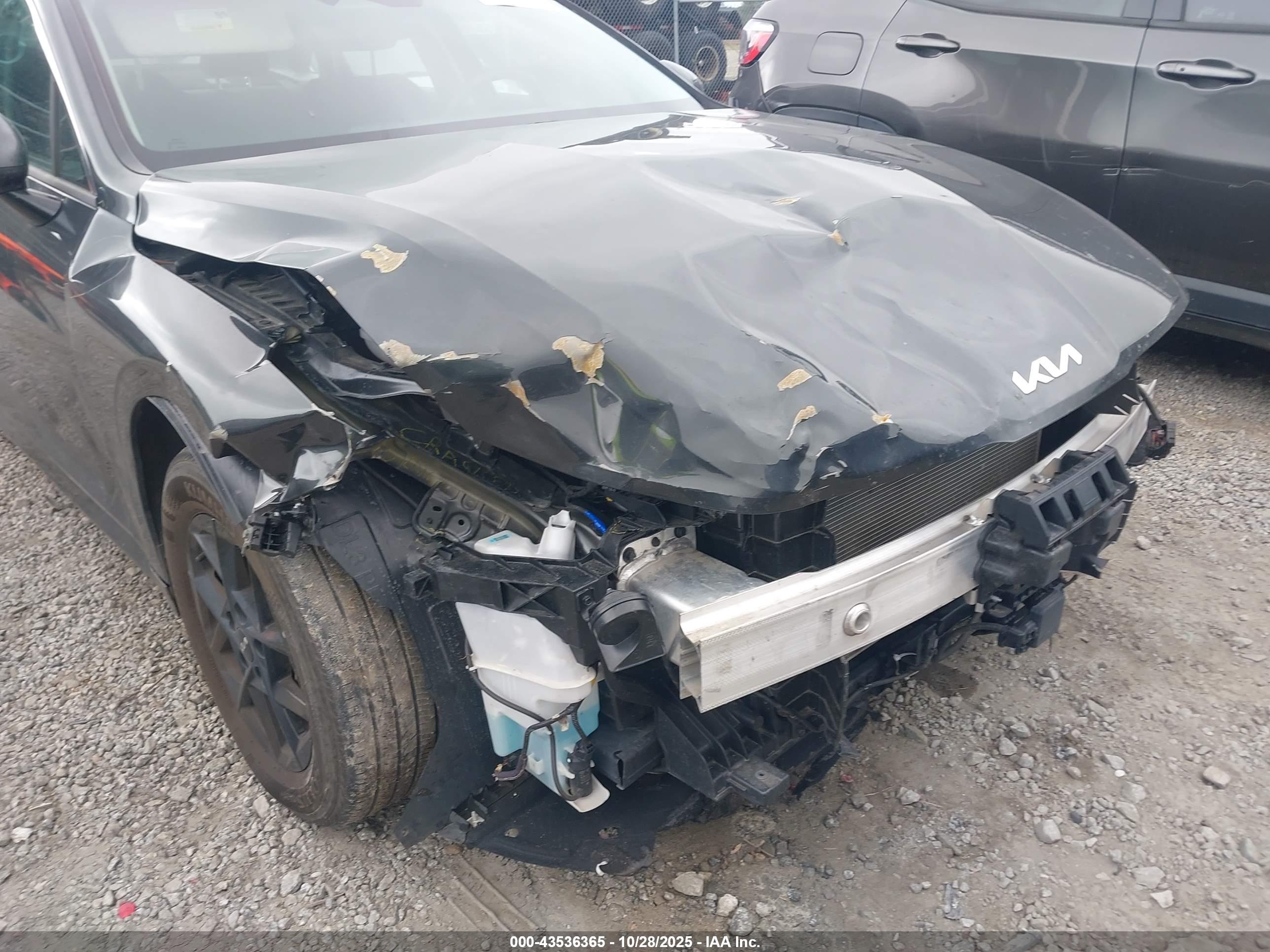 KIA K5 image 6