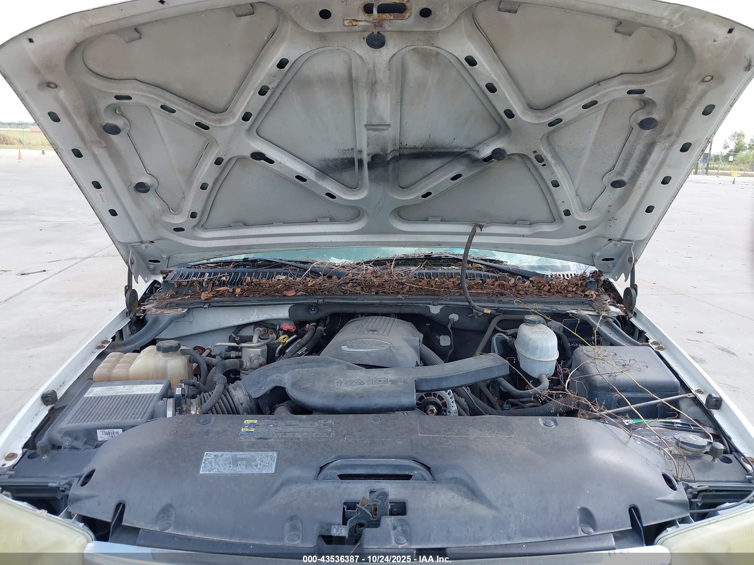 GMC YUKON image 10