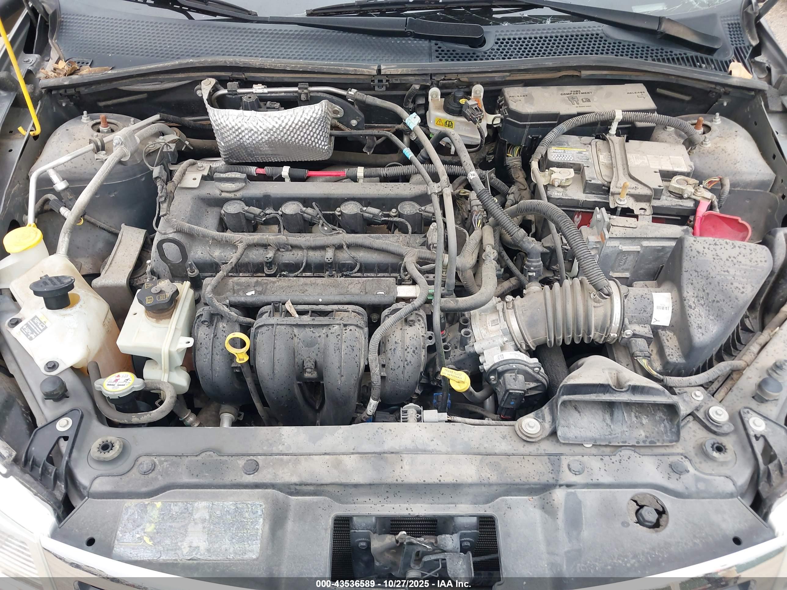 FORD FOCUS image 10