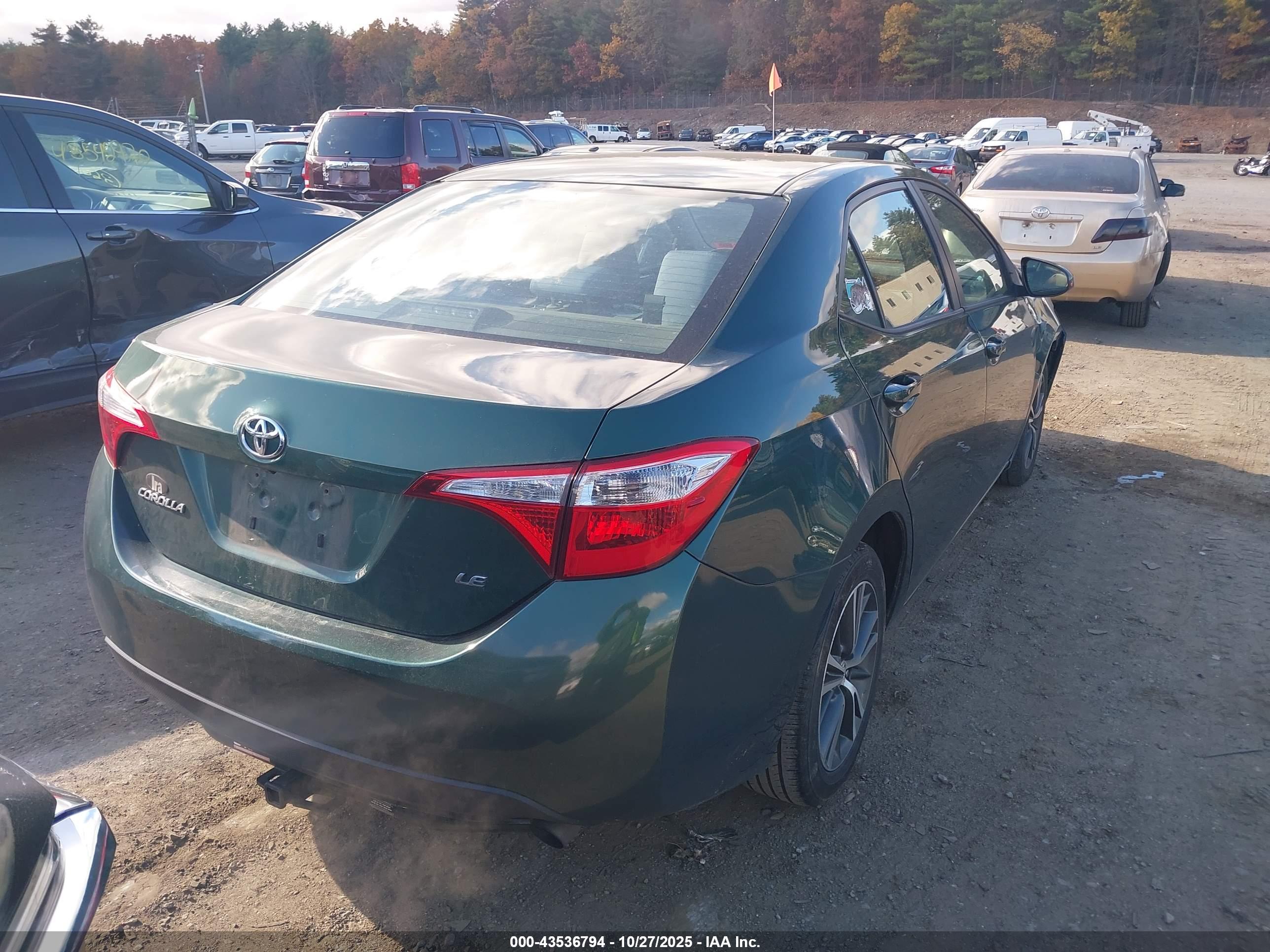 TOYOTA COROLLA image 4