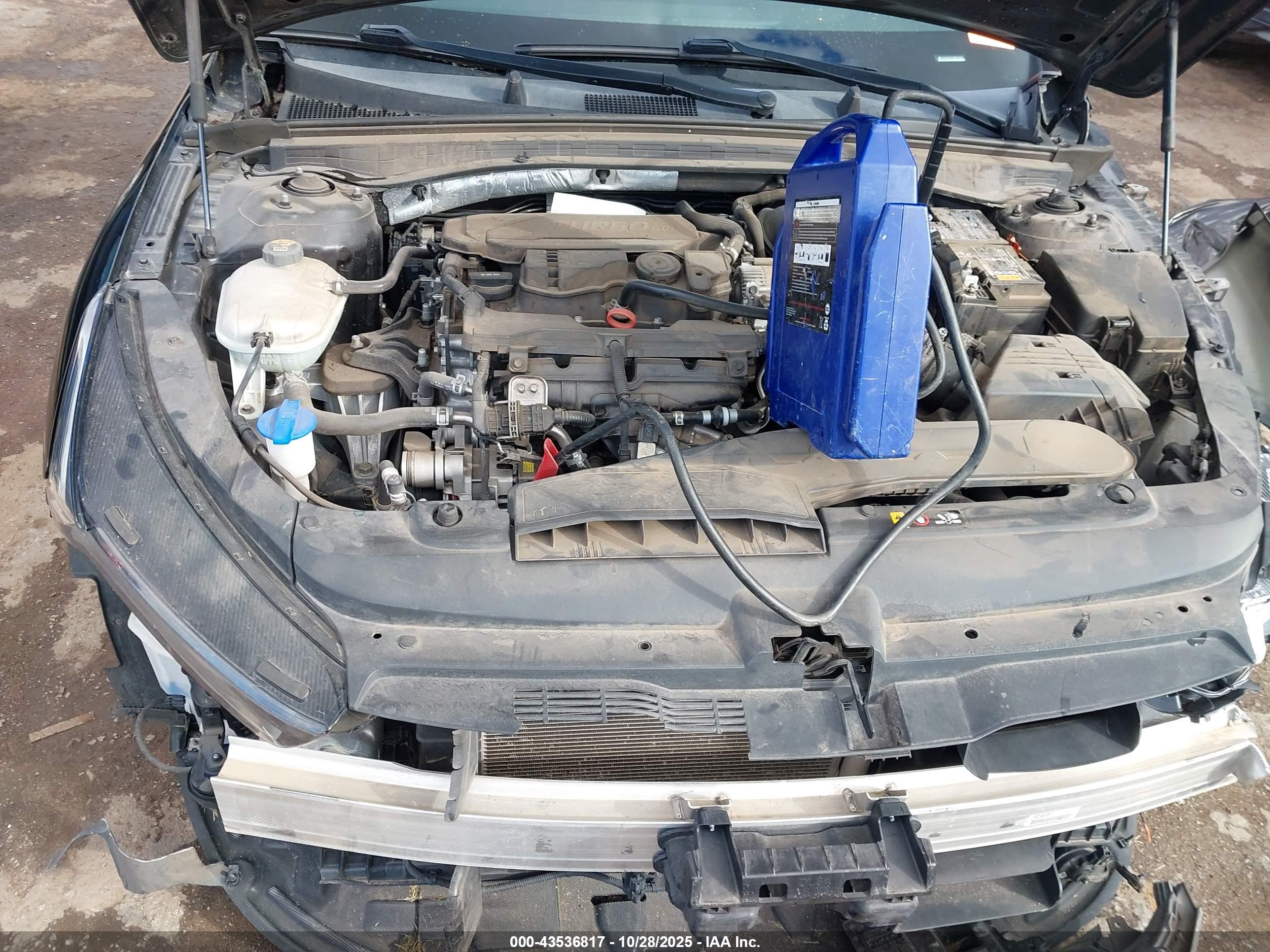 KIA K5 image 10