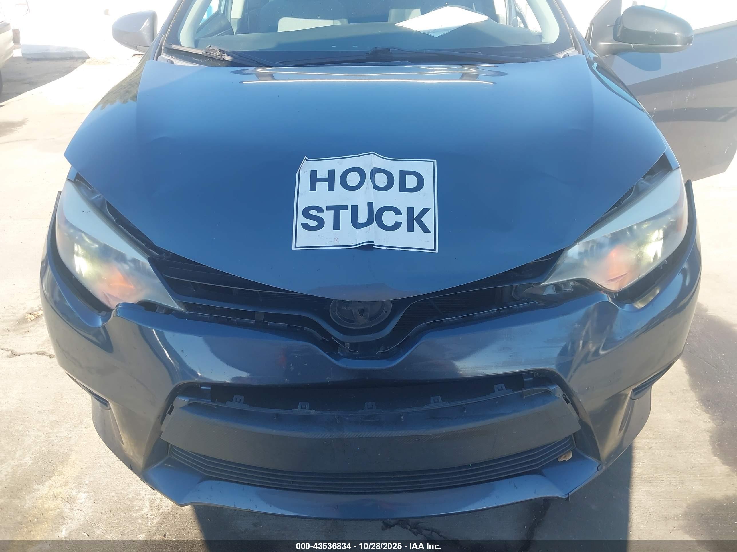 TOYOTA COROLLA image 10