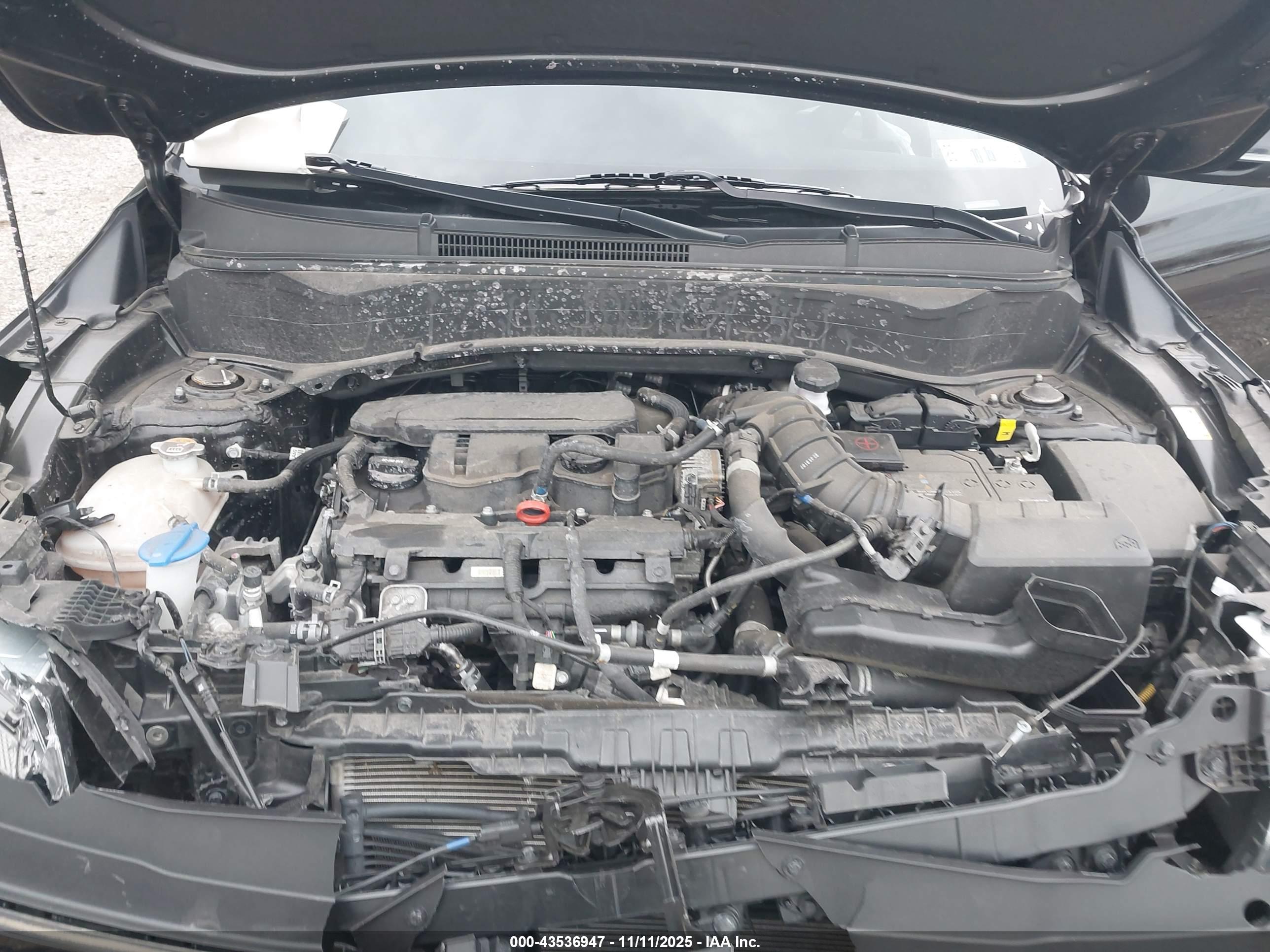 KIA SELTOS image 10