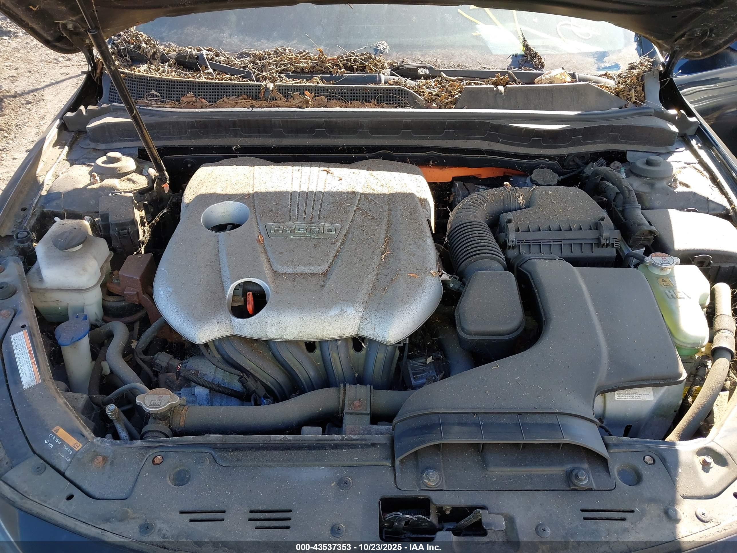 KIA OPTIMA image 10
