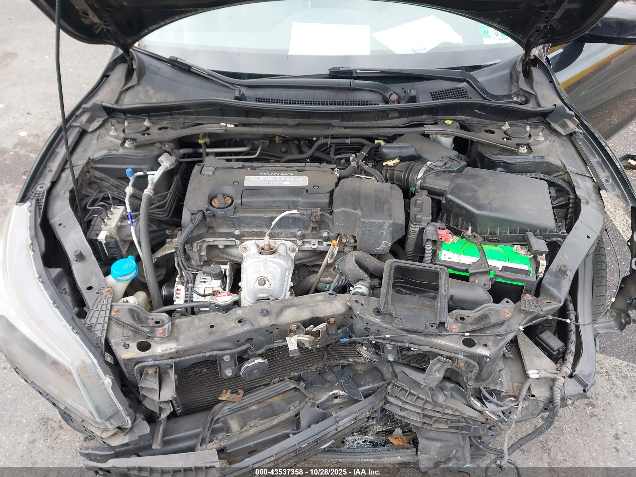 HONDA ACCORD image 10