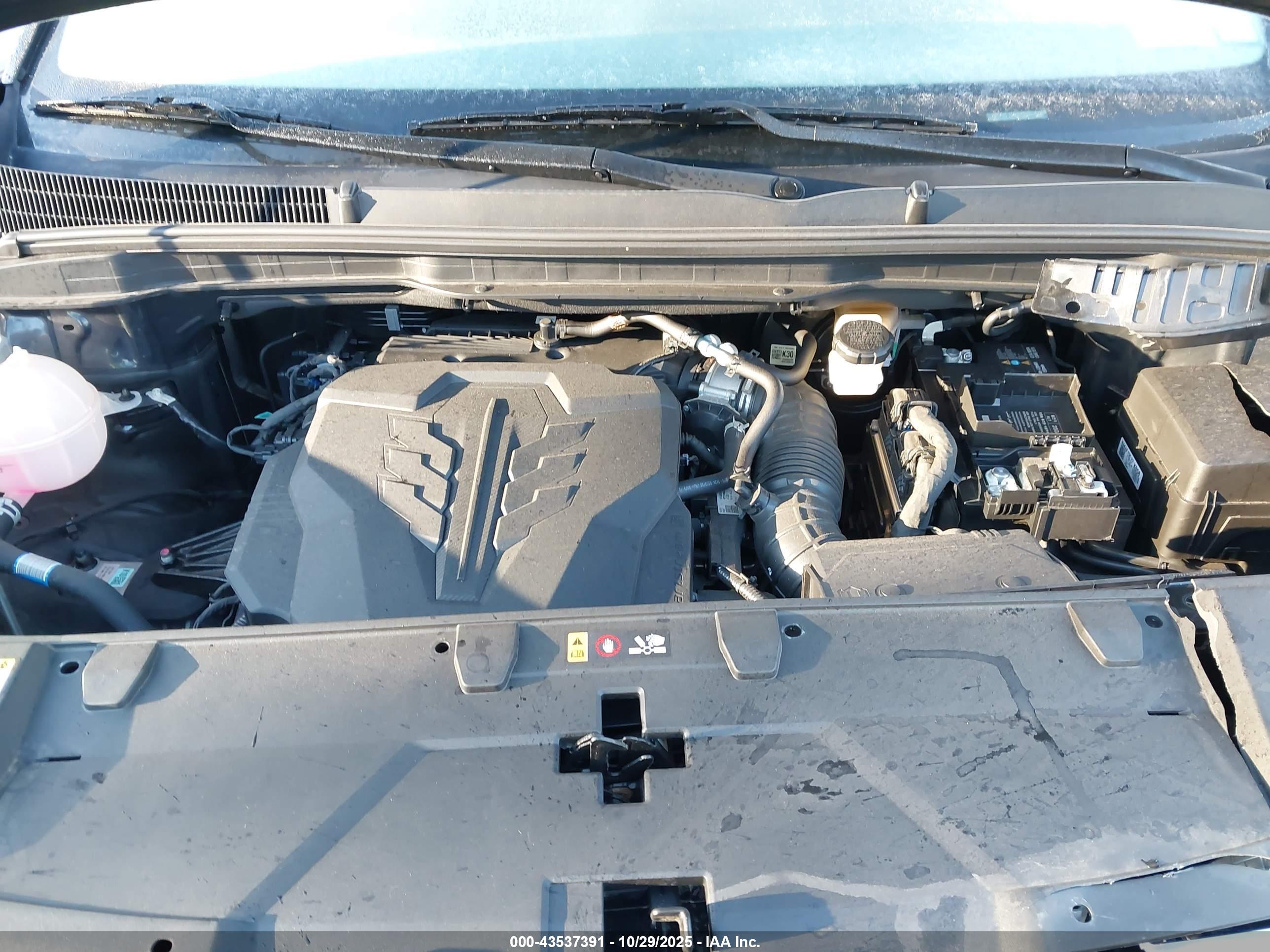 KIA CARNIVAL image 10
