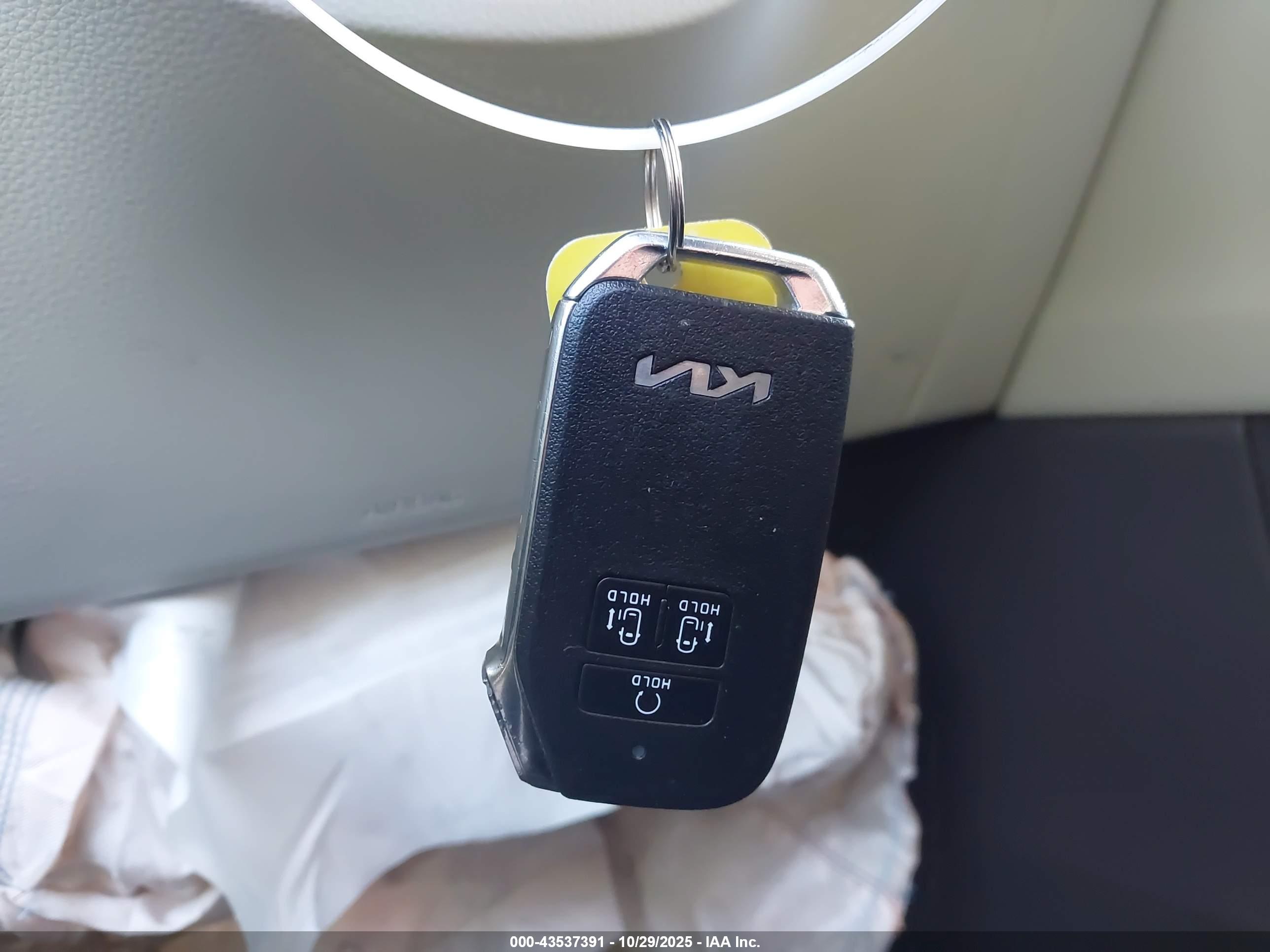 KIA CARNIVAL image 11