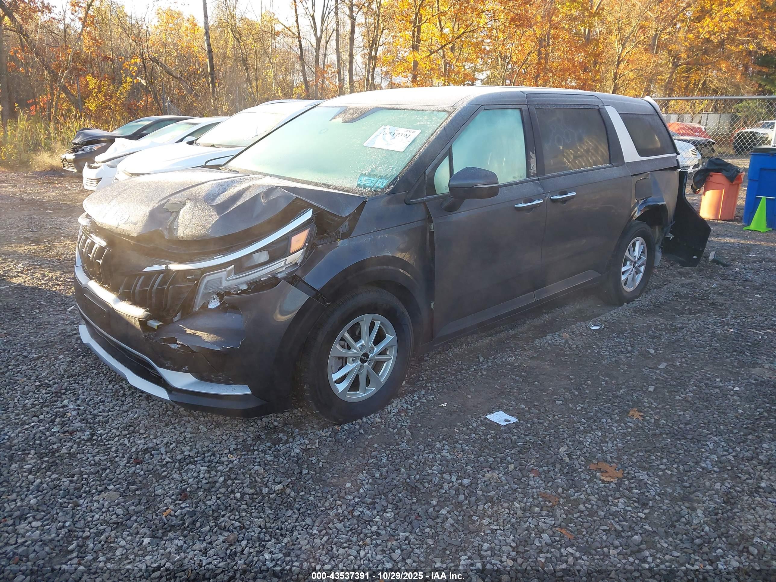 KIA CARNIVAL image 2