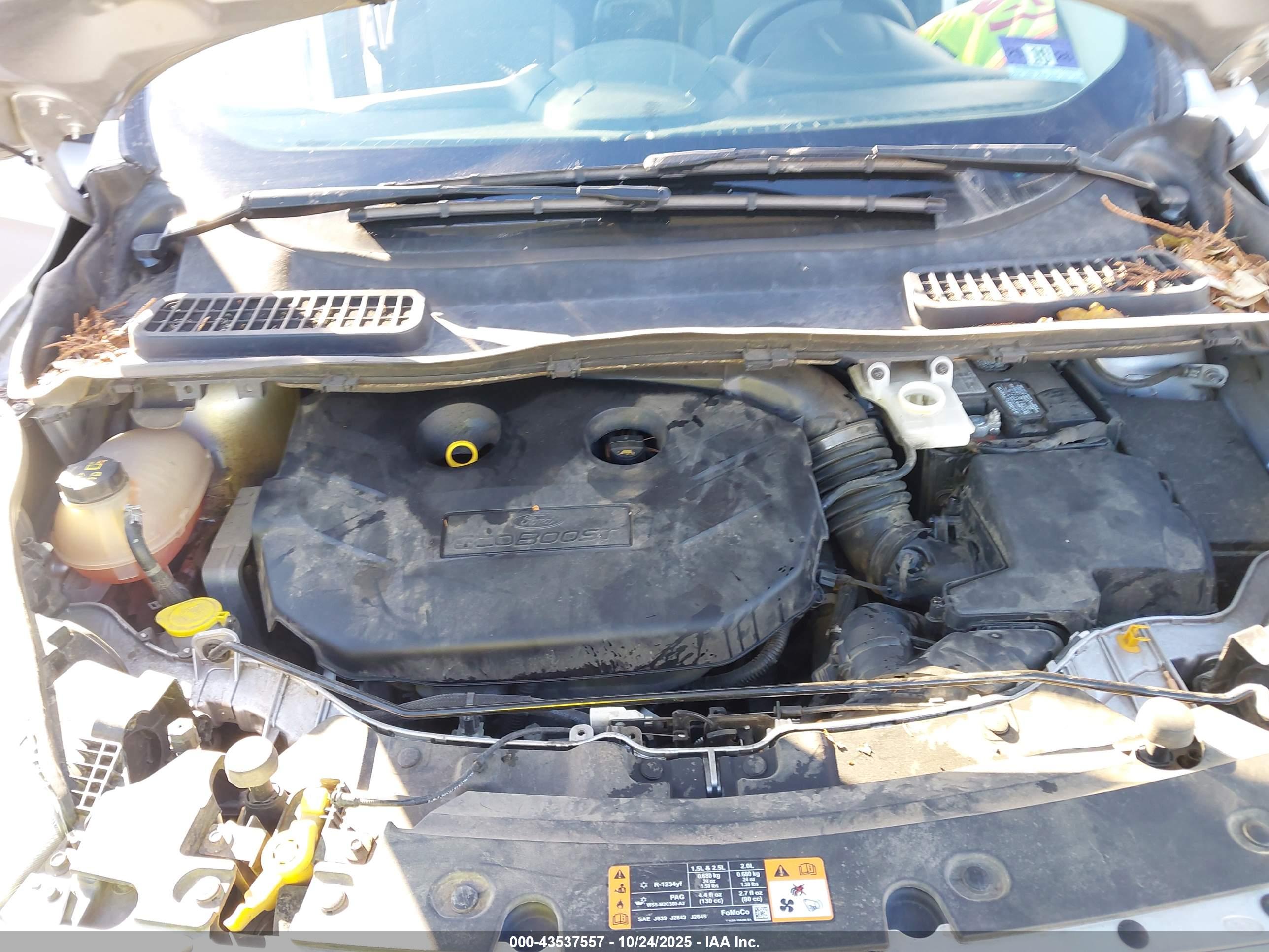 FORD ESCAPE image 10