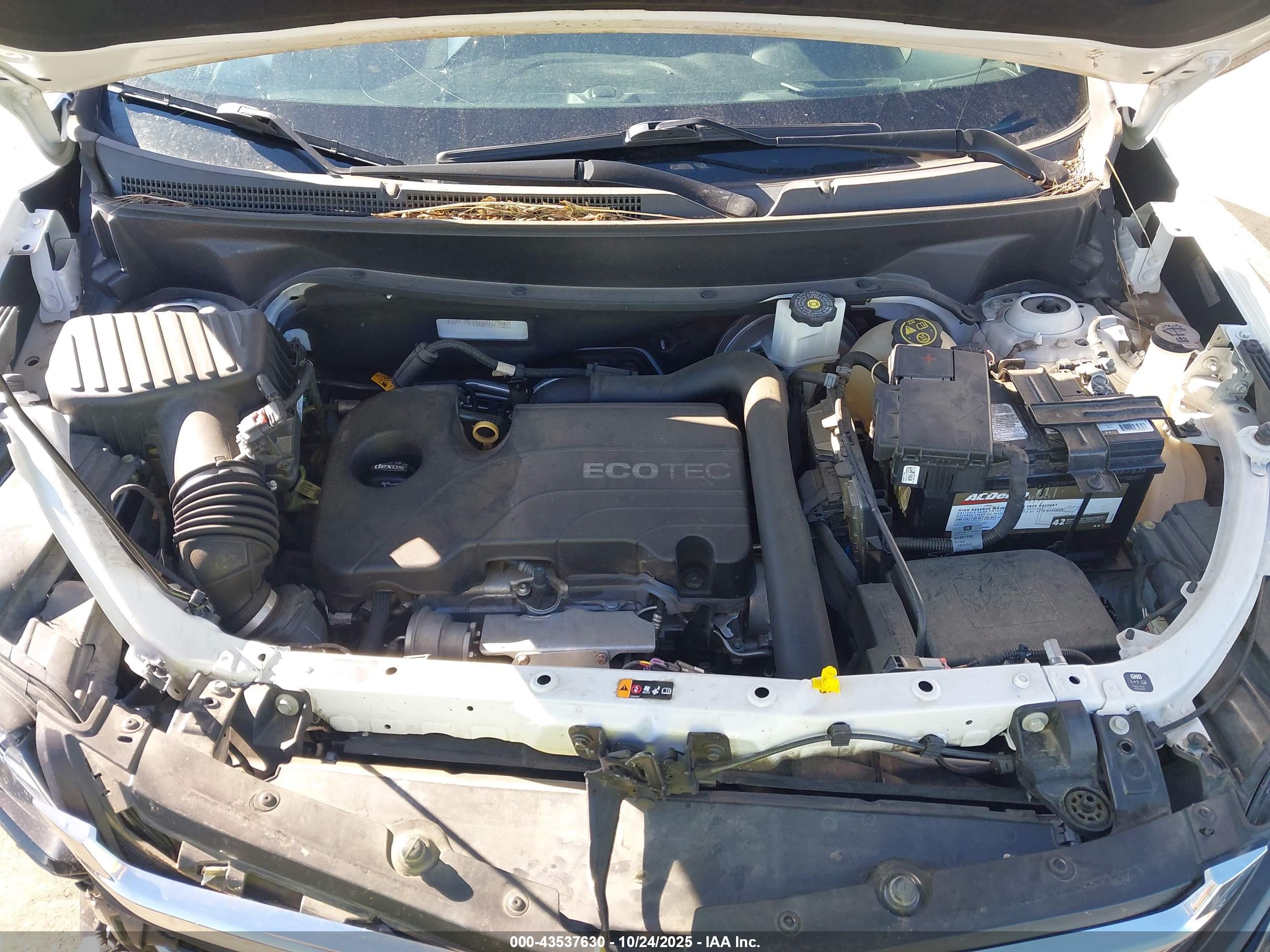 CHEVROLET EQUINOX image 10
