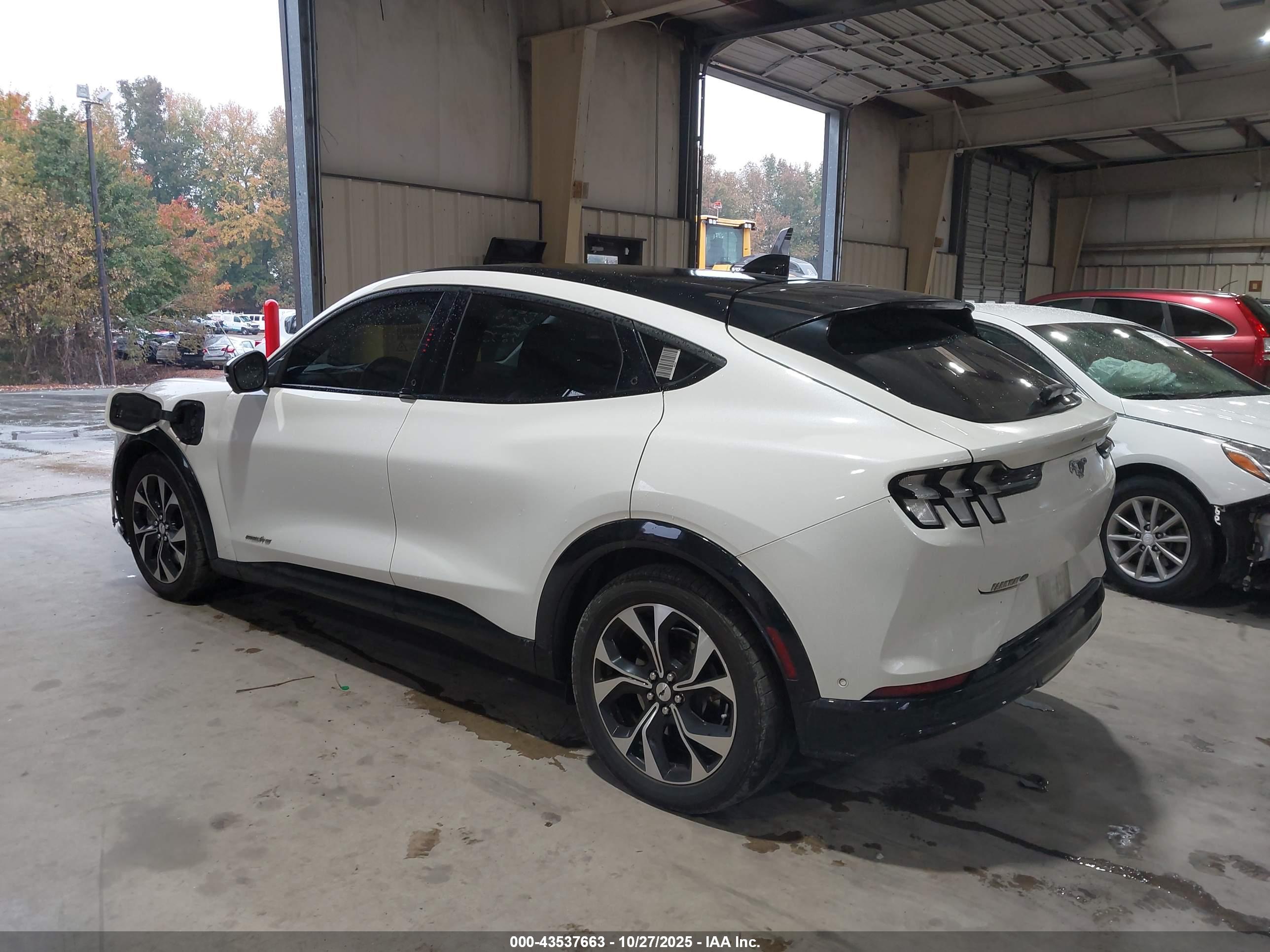 FORD MUSTANG image 3