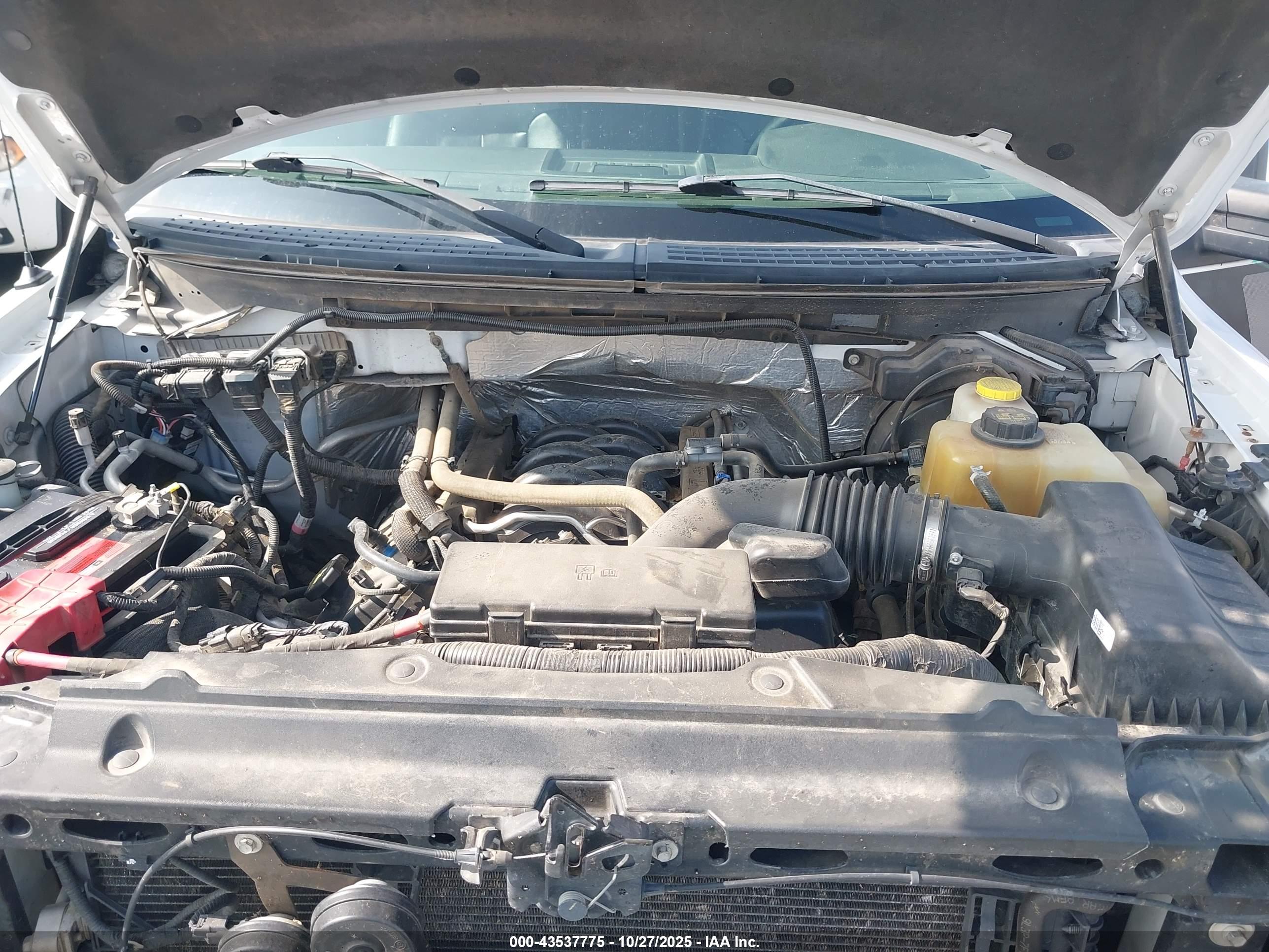 FORD F-150 image 10